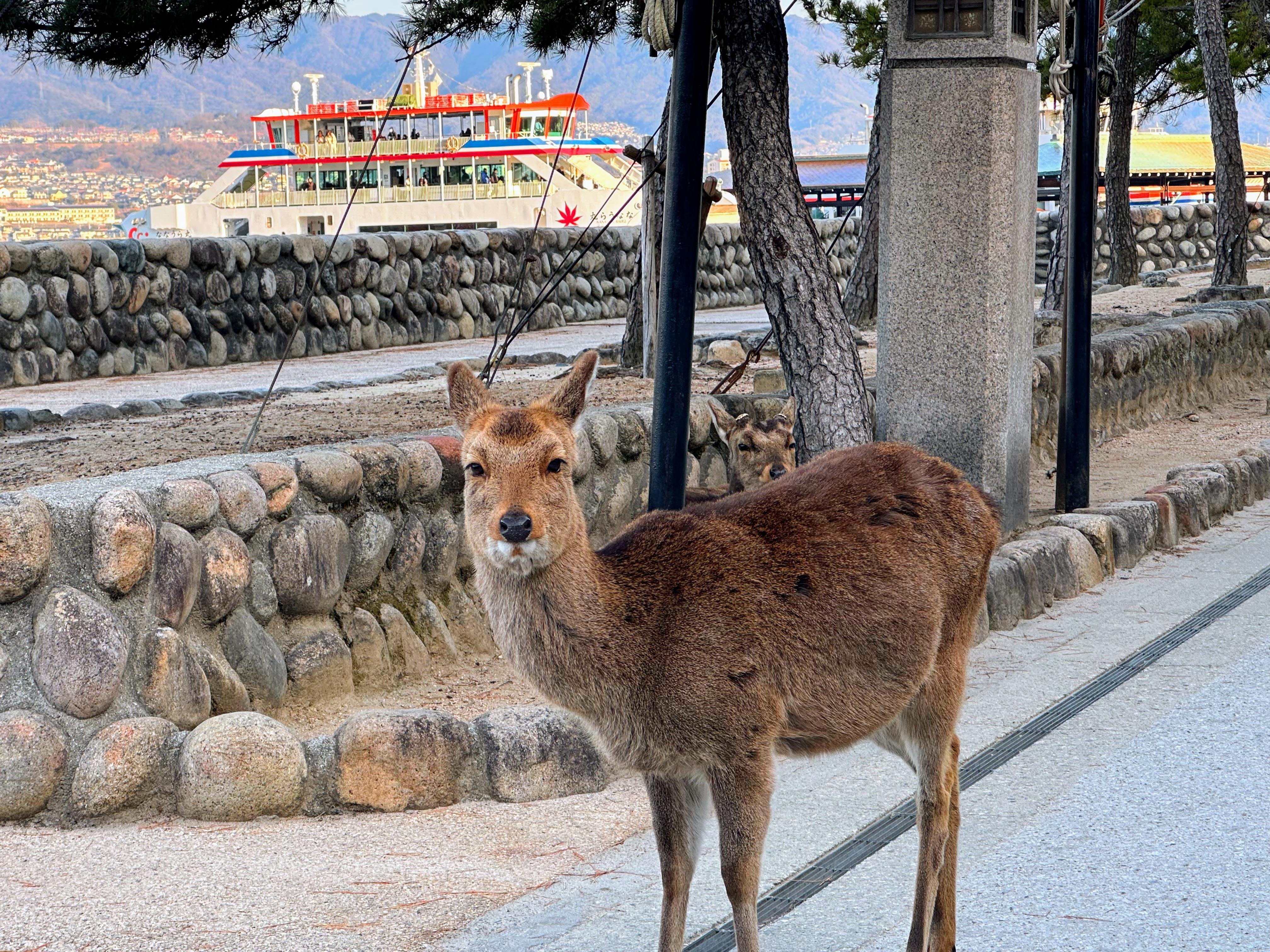 Osaka experience, image 9