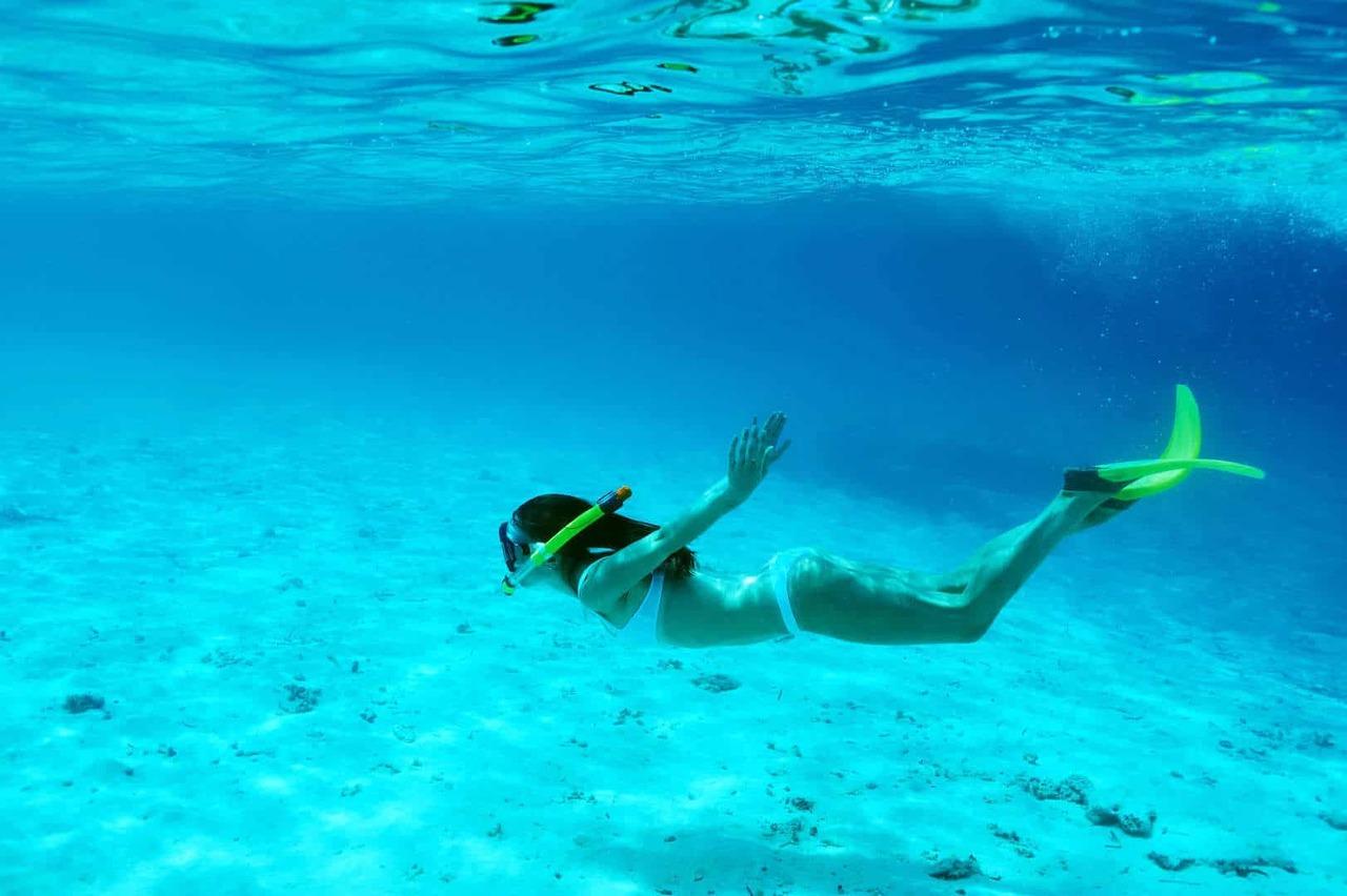 Roatán Guided Snorkeling Adventure