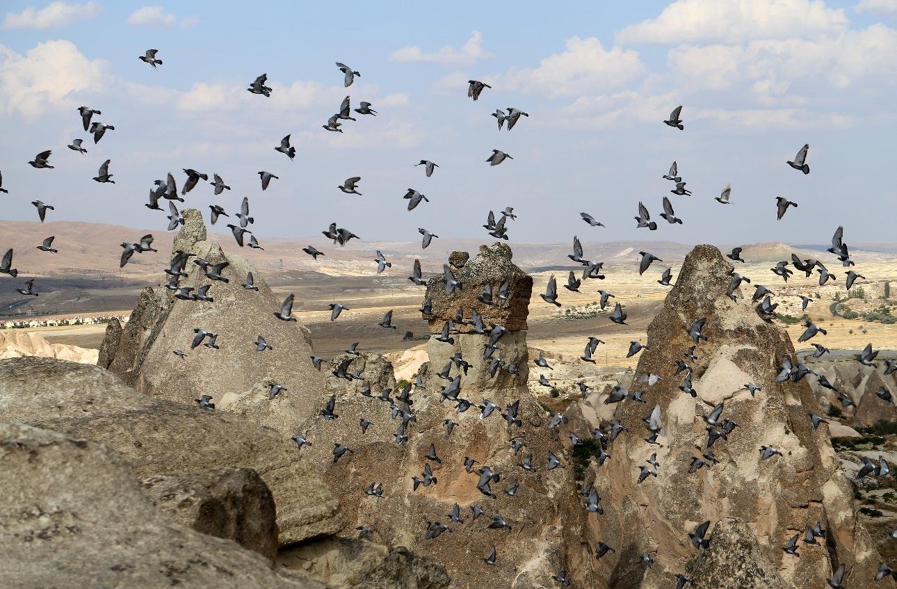 Cappadocia Green Tour with Kaymaklı Underground City & Optional Lunch