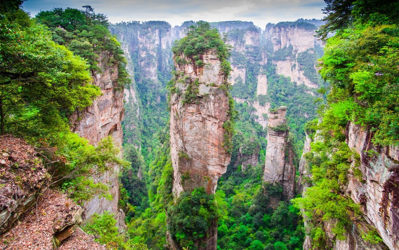Zhangjiajie 1–2 Day Group Tour: Avatar Mountains, Glass Bridge & Tianmen