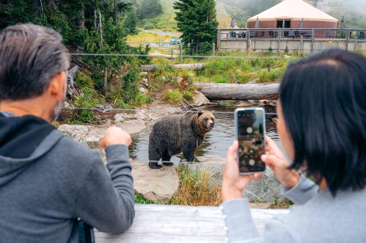 Capilano Suspension Bridge & Grouse Mountain Full-Day Tour