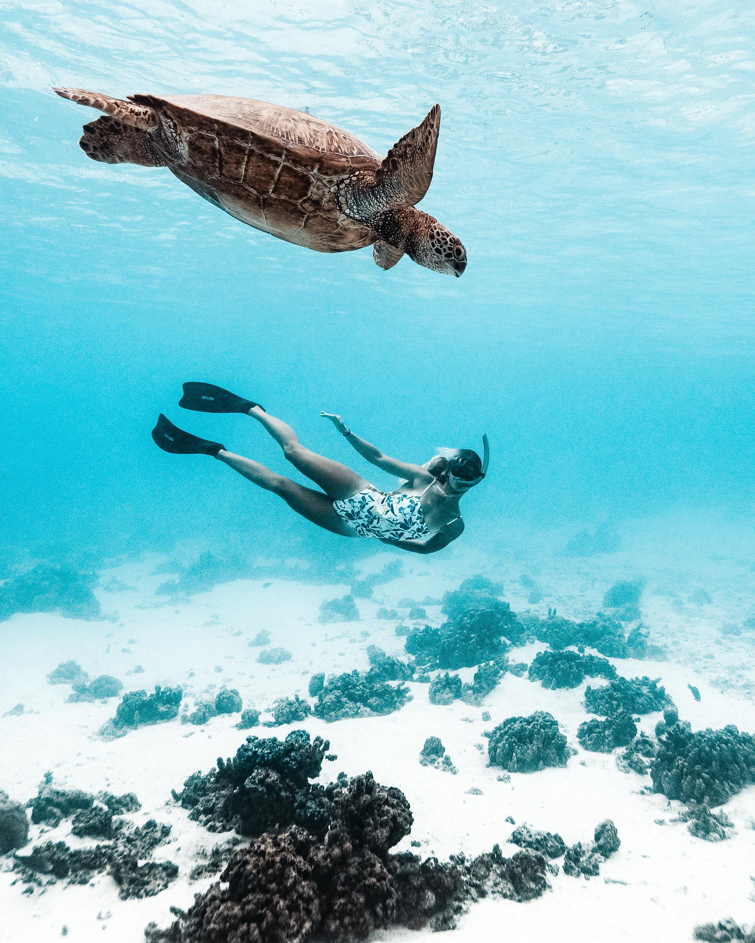 Private Moorea Lagoon Snorkeling Adventure