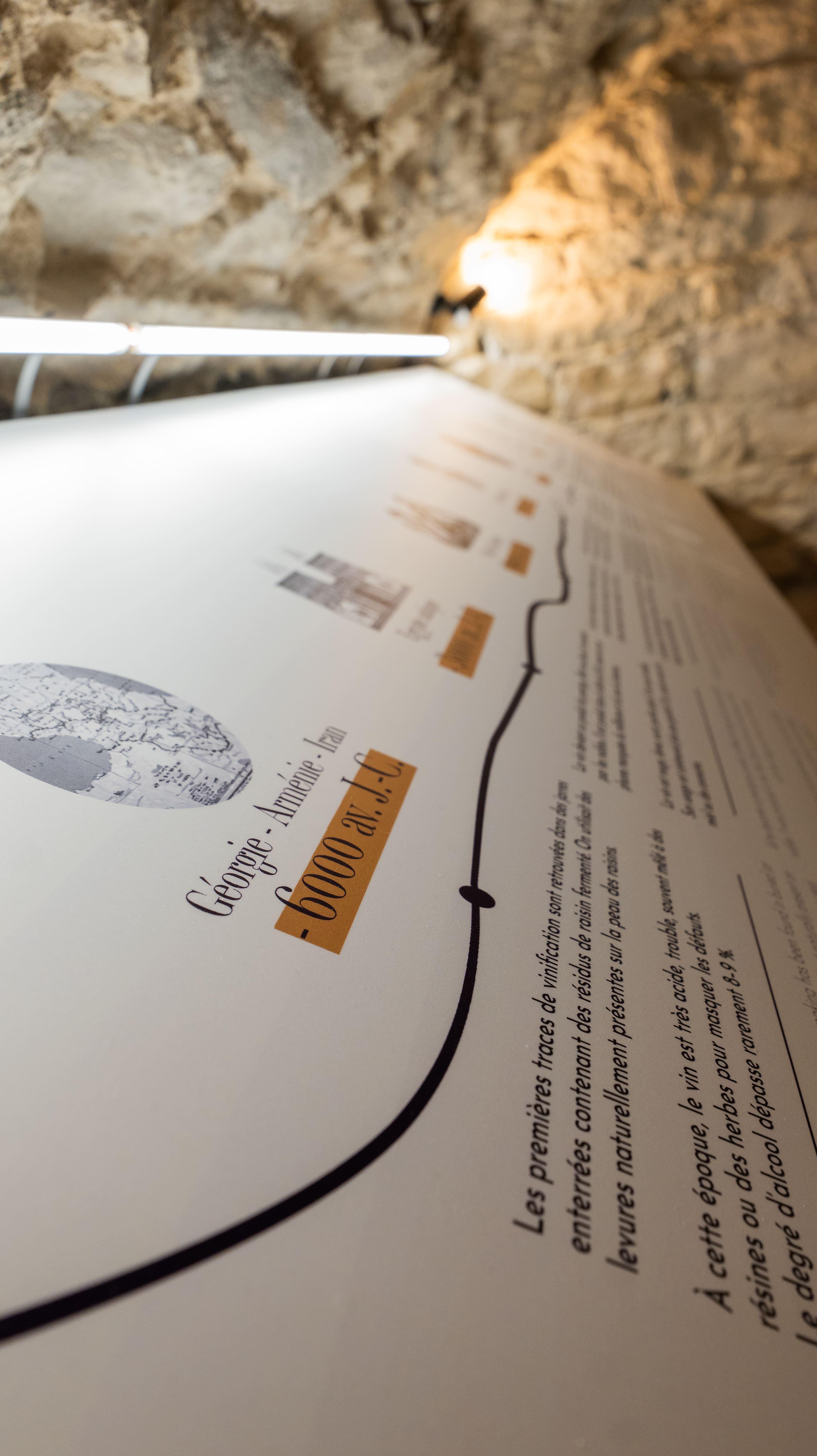 wine tour in Lyon — Le Petit Musée du Vin: Visit and food tasting in Lyon - 2026 (Verified Reviews)