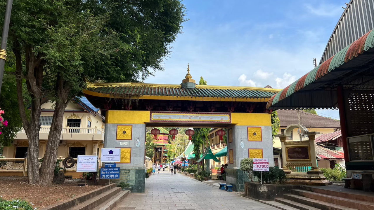 Krabi Jungle Day Tour: Emerald Pool, Hot Springs & Tiger Cave Temple