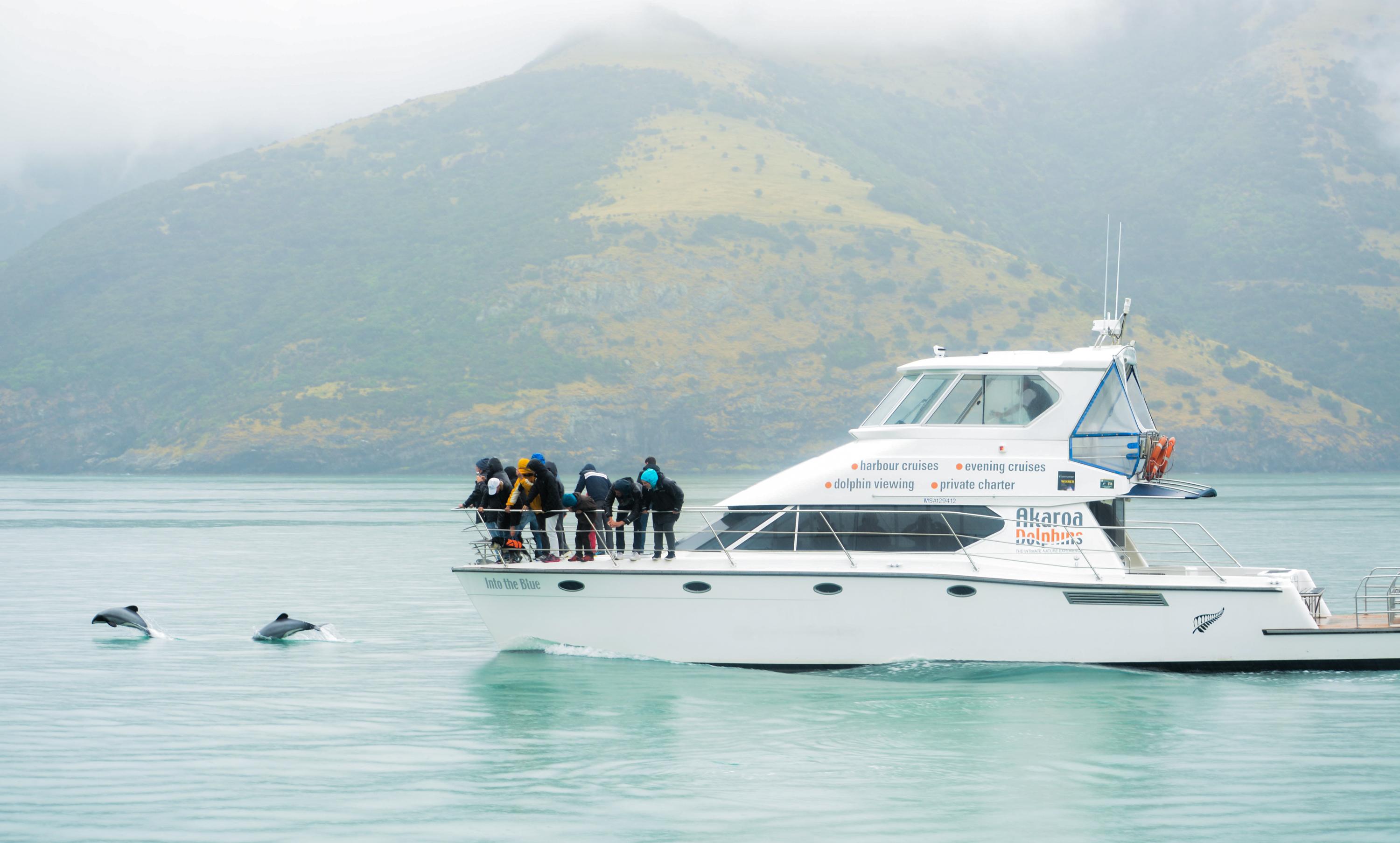 Akaroa Day Trip from Christchurch with Hector's Dolphin Cruise