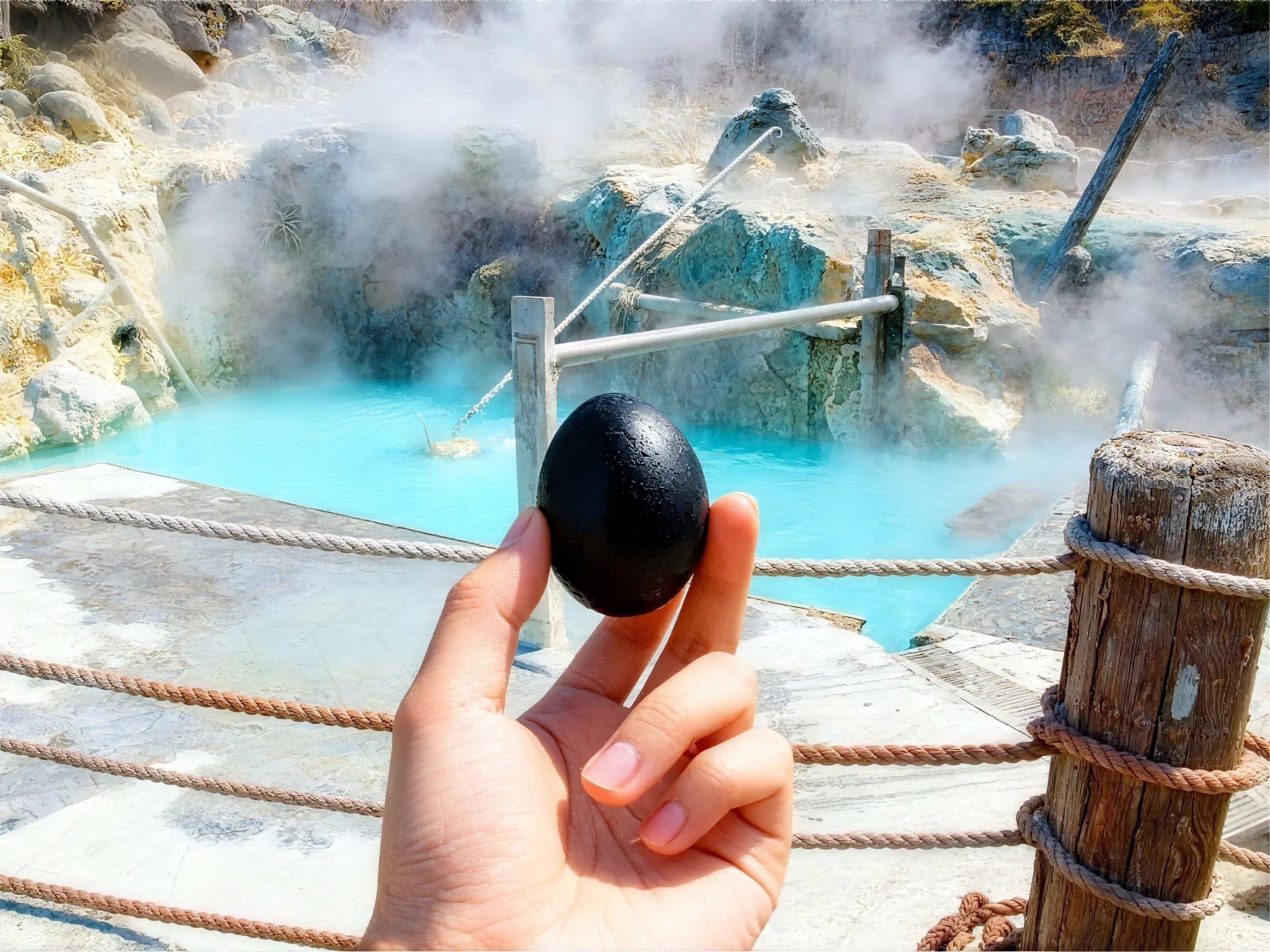 Hakone Private Day Tour: Owakudani, Ropeway & Matcha Cruise from Tokyo
