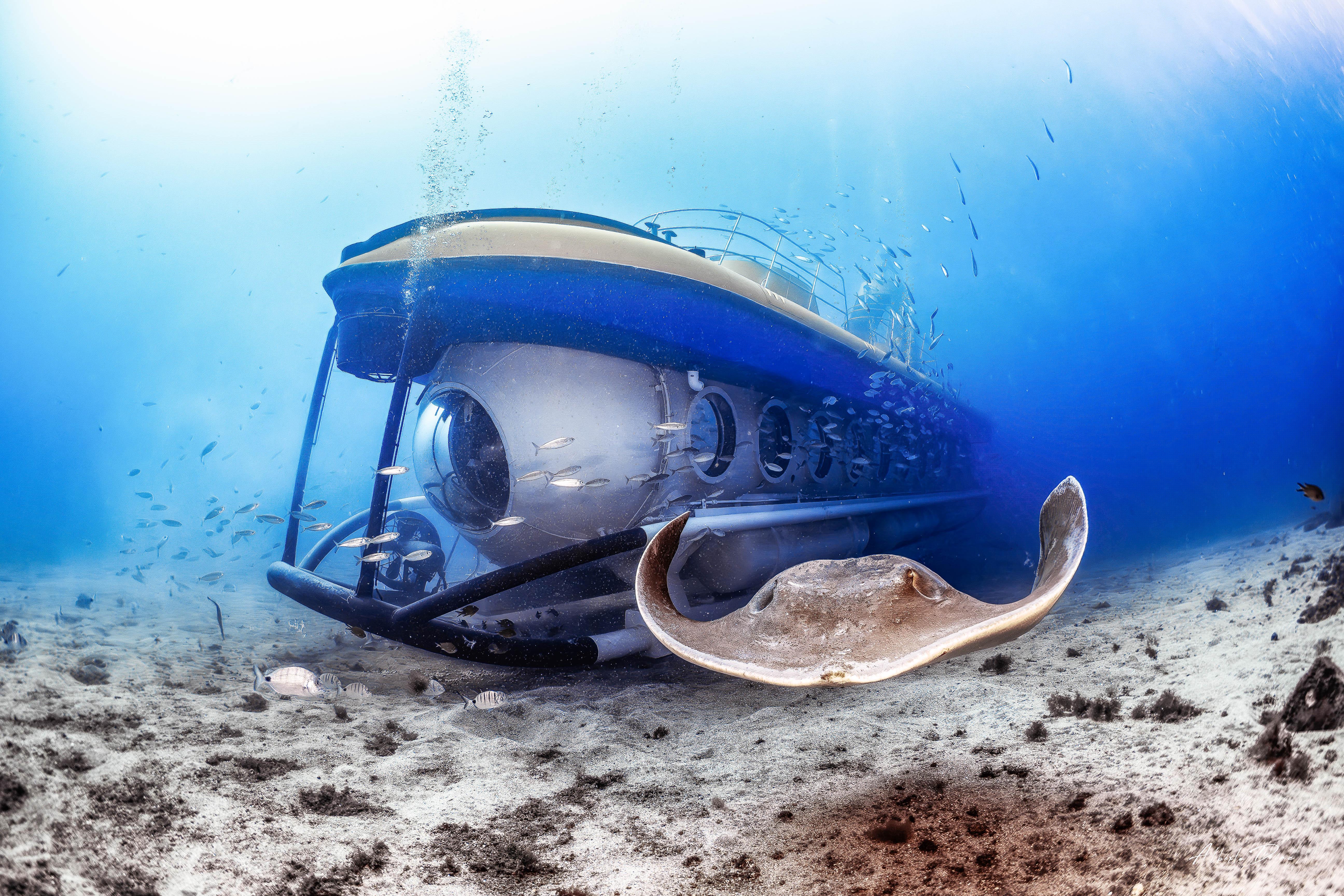 Submarine Adventure with Beach Time in Tenerife