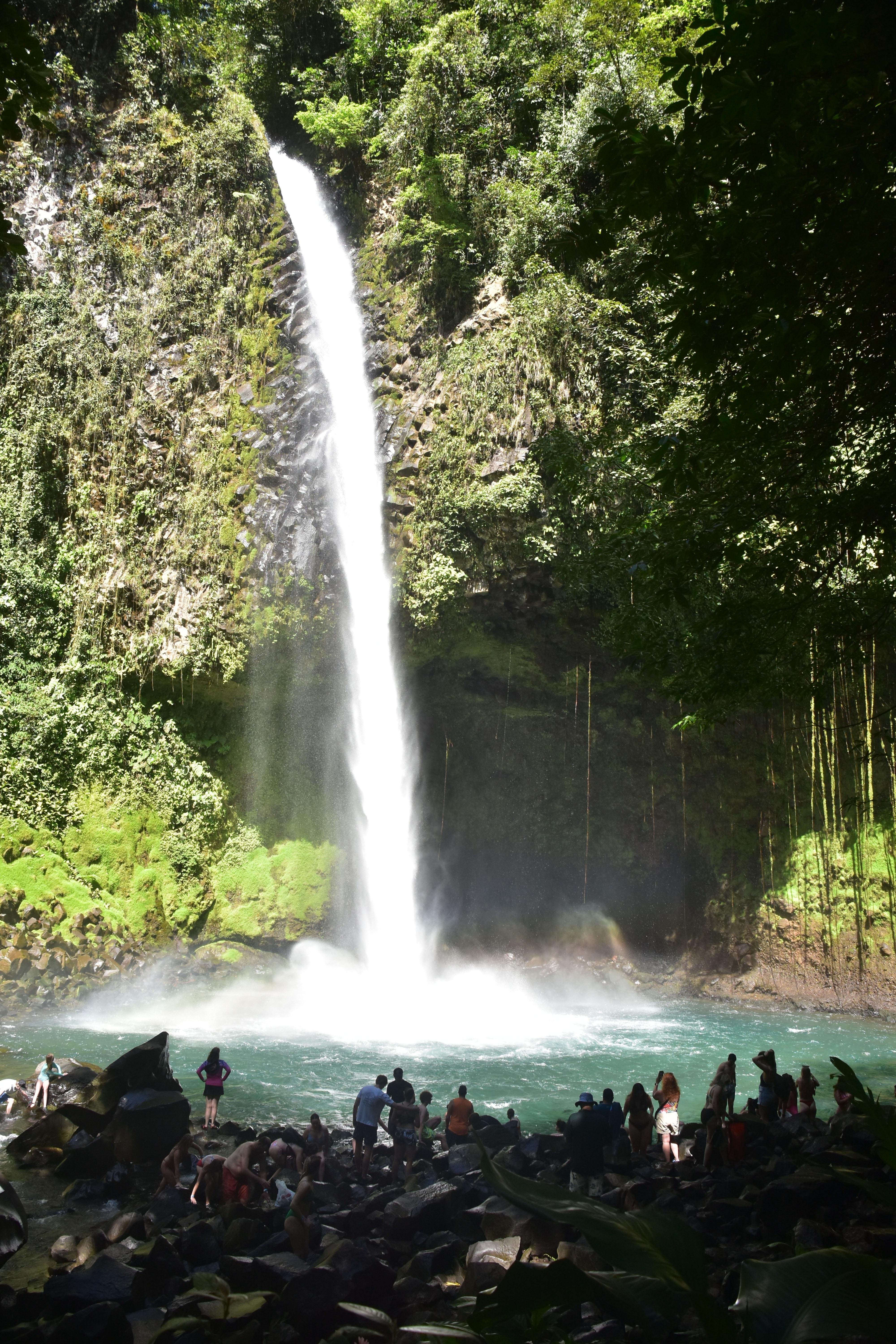 Waterfall Swim & Guaranteed Sloth Encounter
