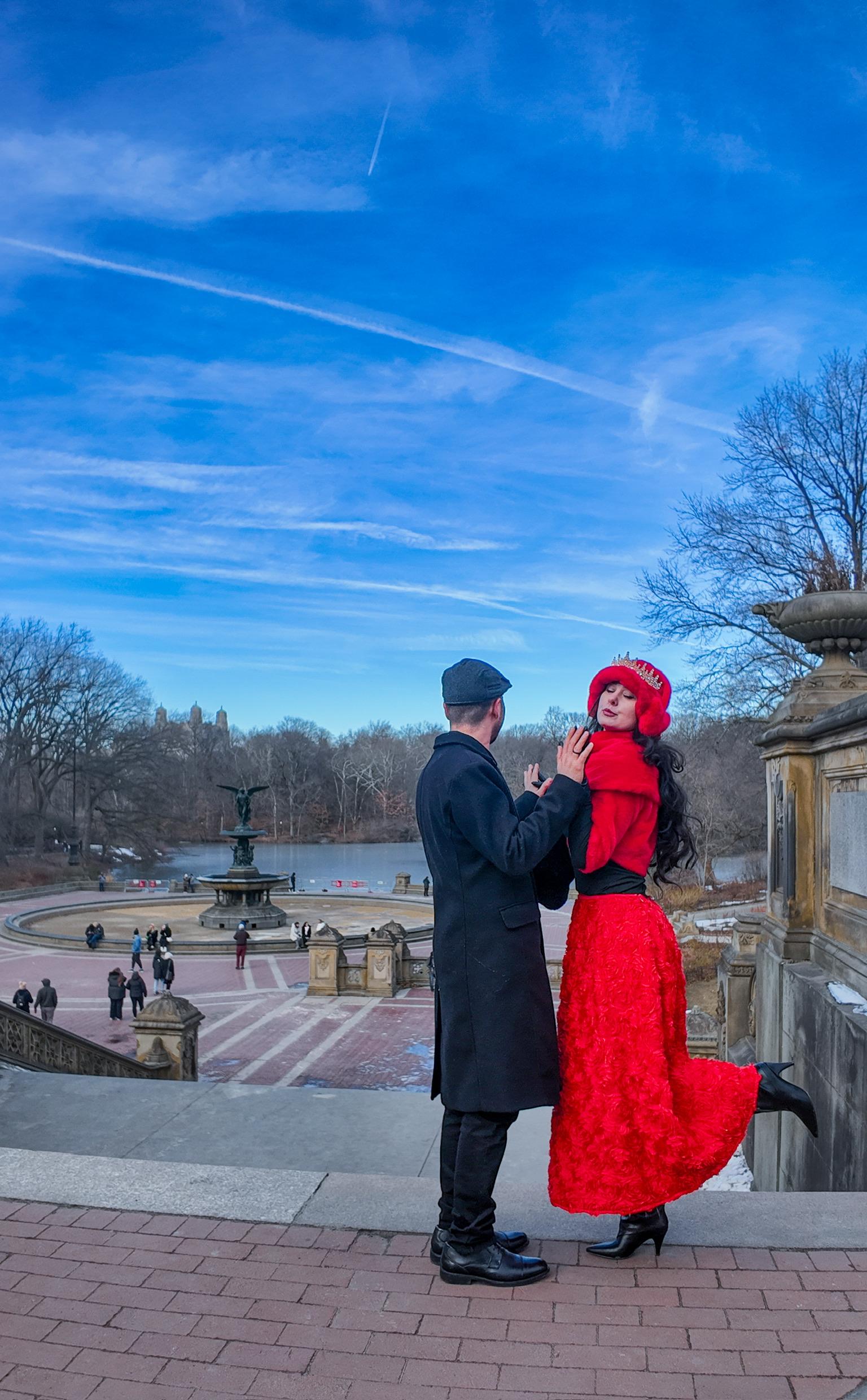 Central Park horse carriage ride — image 7