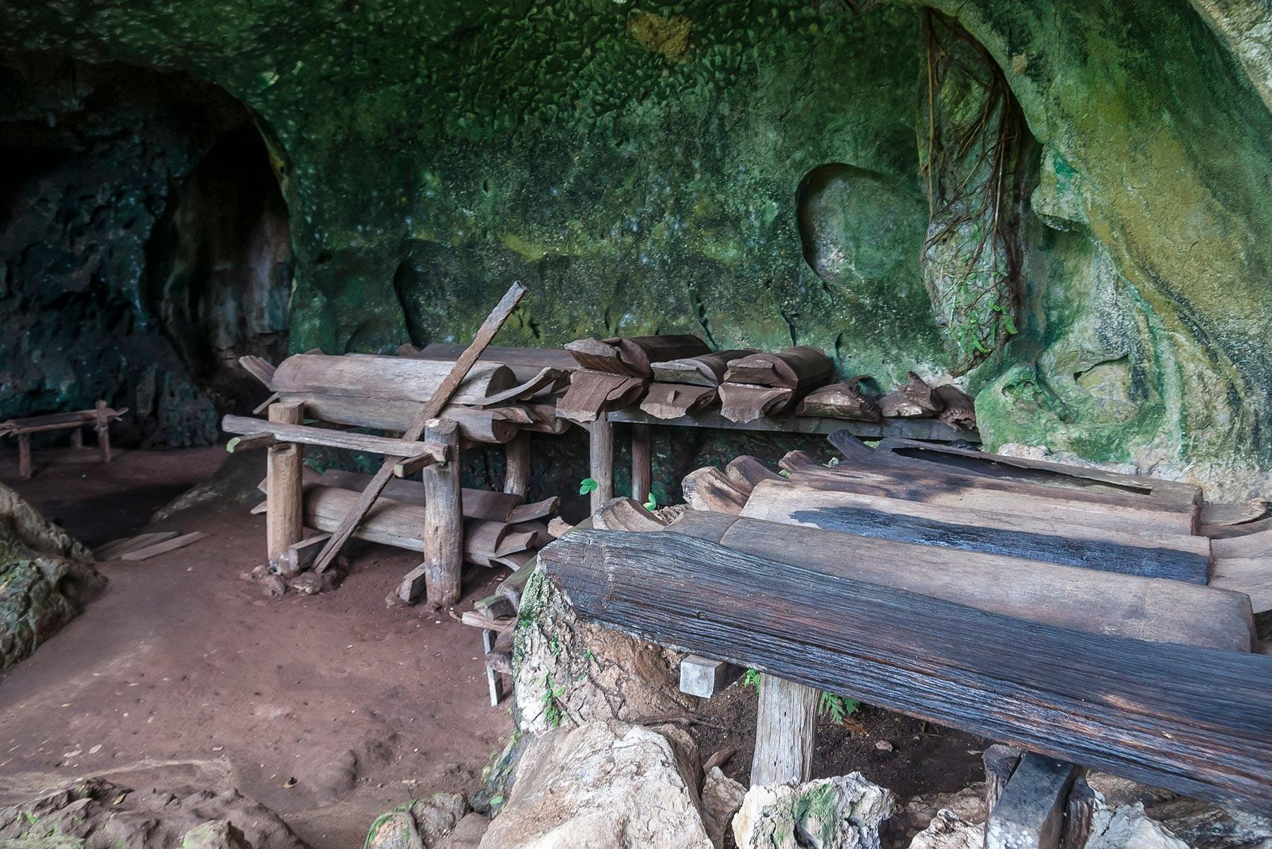 Sandakan Wildlife & Coffin Cave 2-Day Adventure
