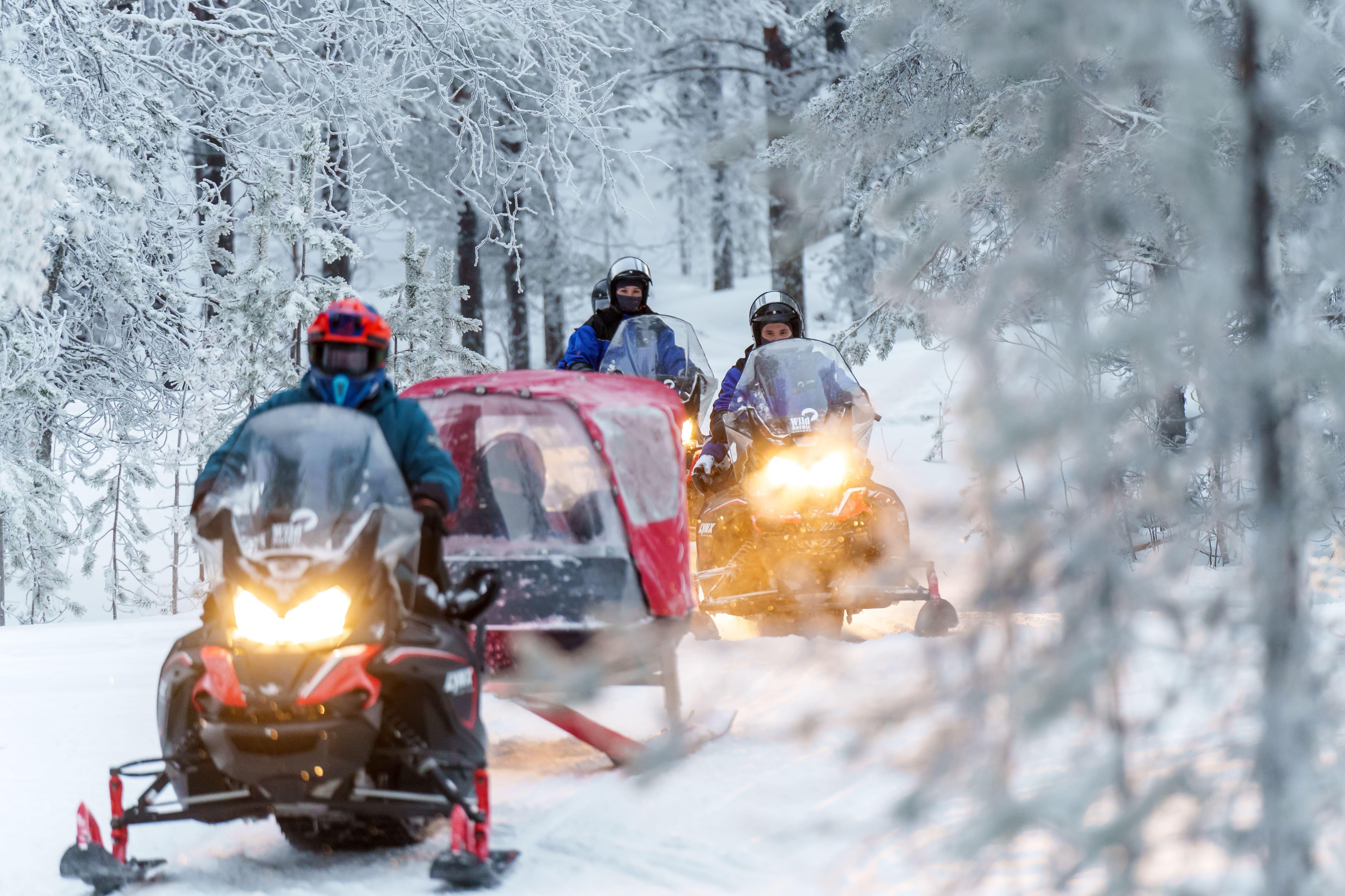 Rovaniemi Arctic Forest Snowmobile Safari