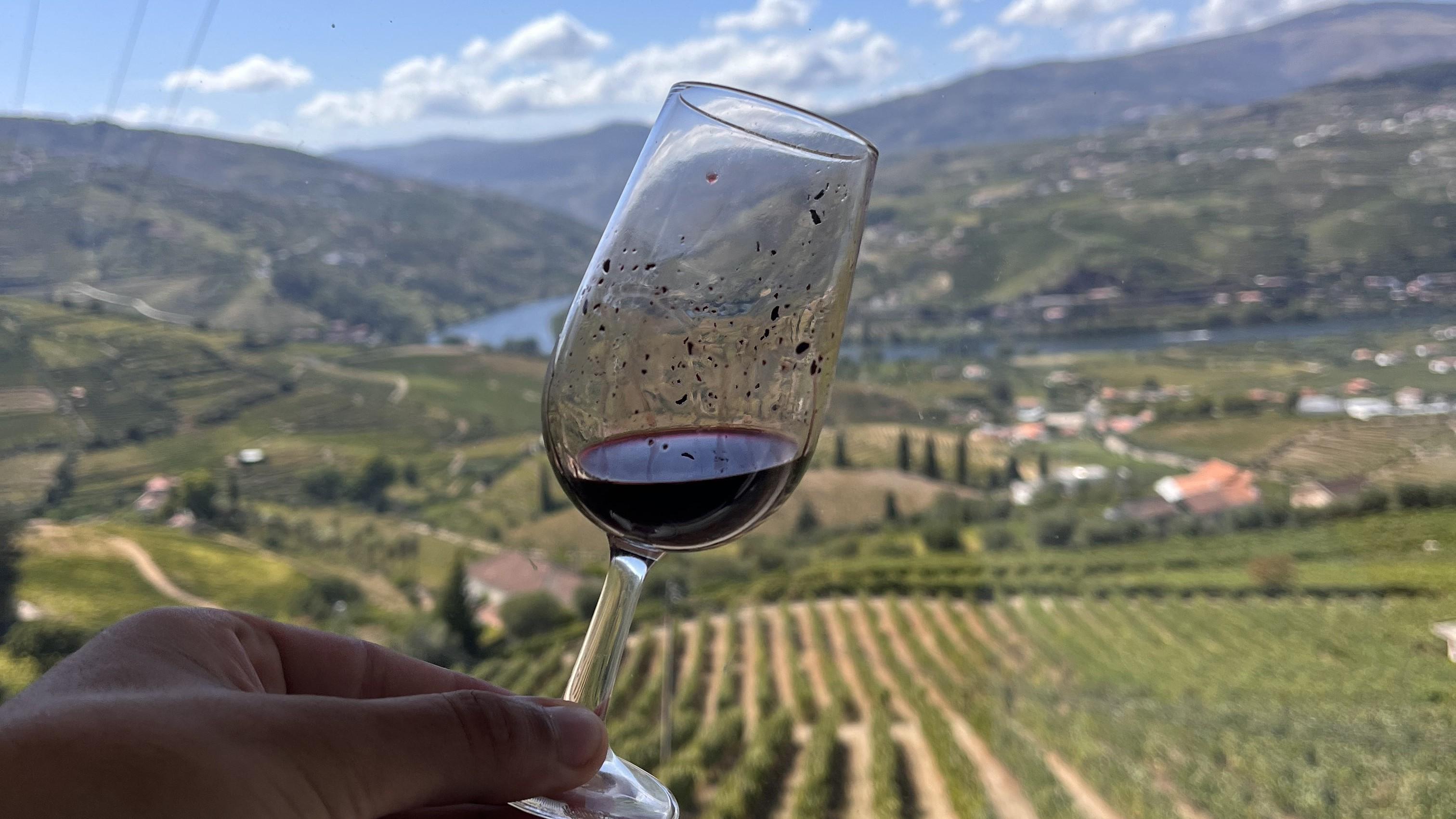 Douro Valley Wine & Boat Experience from Porto