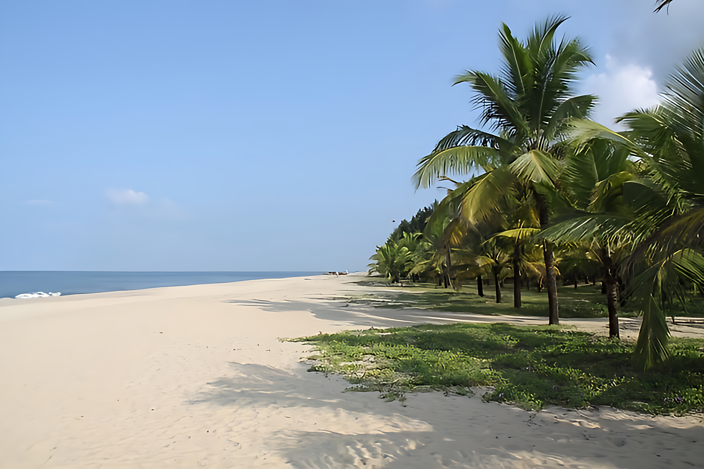 Private Kerala Highlights: Alleppey Backwaters & Fort Kochi Tour