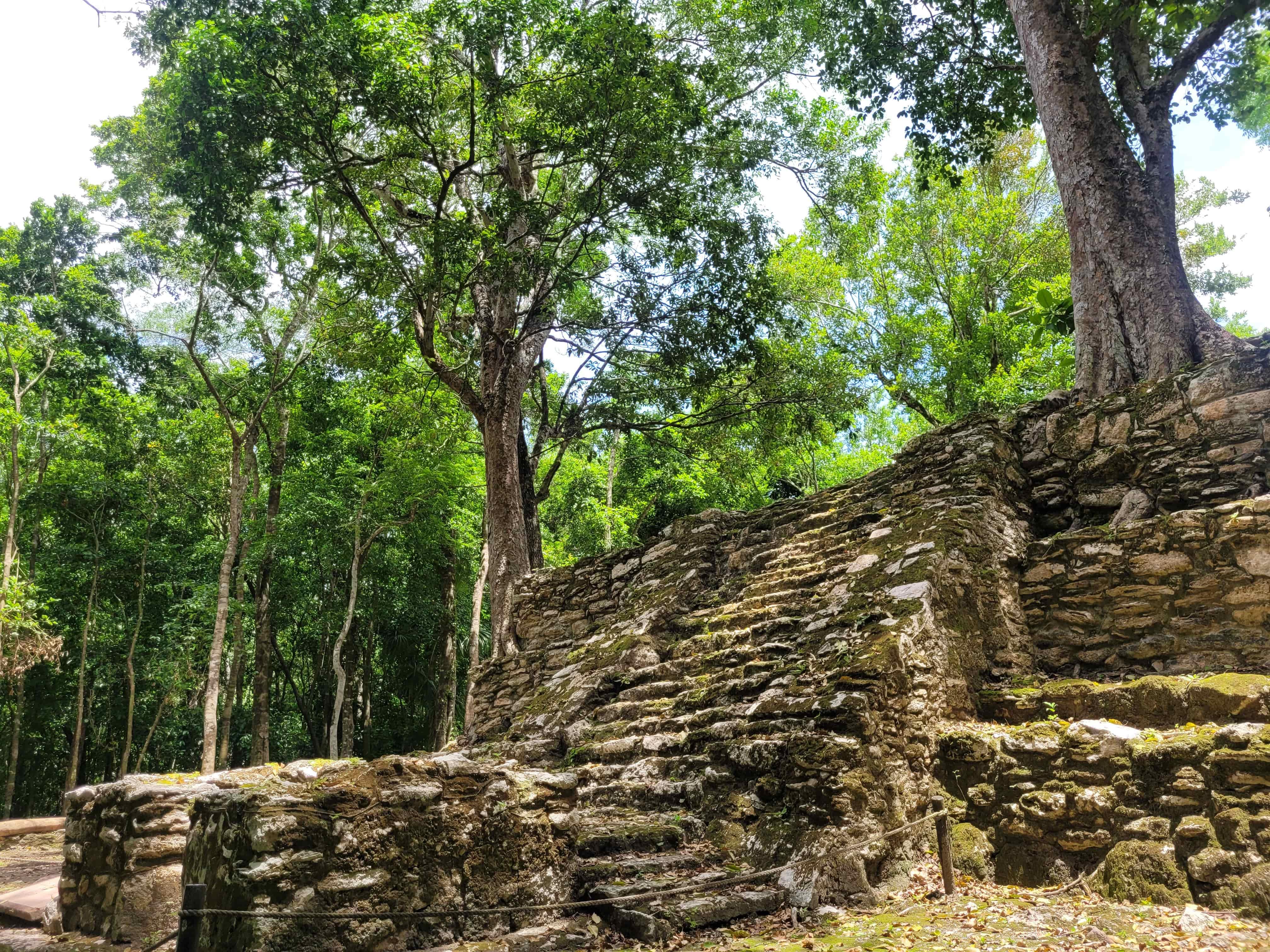 Muyil Ruins & Sian Ka'an Lazy River Half-Day Tour from Tulum