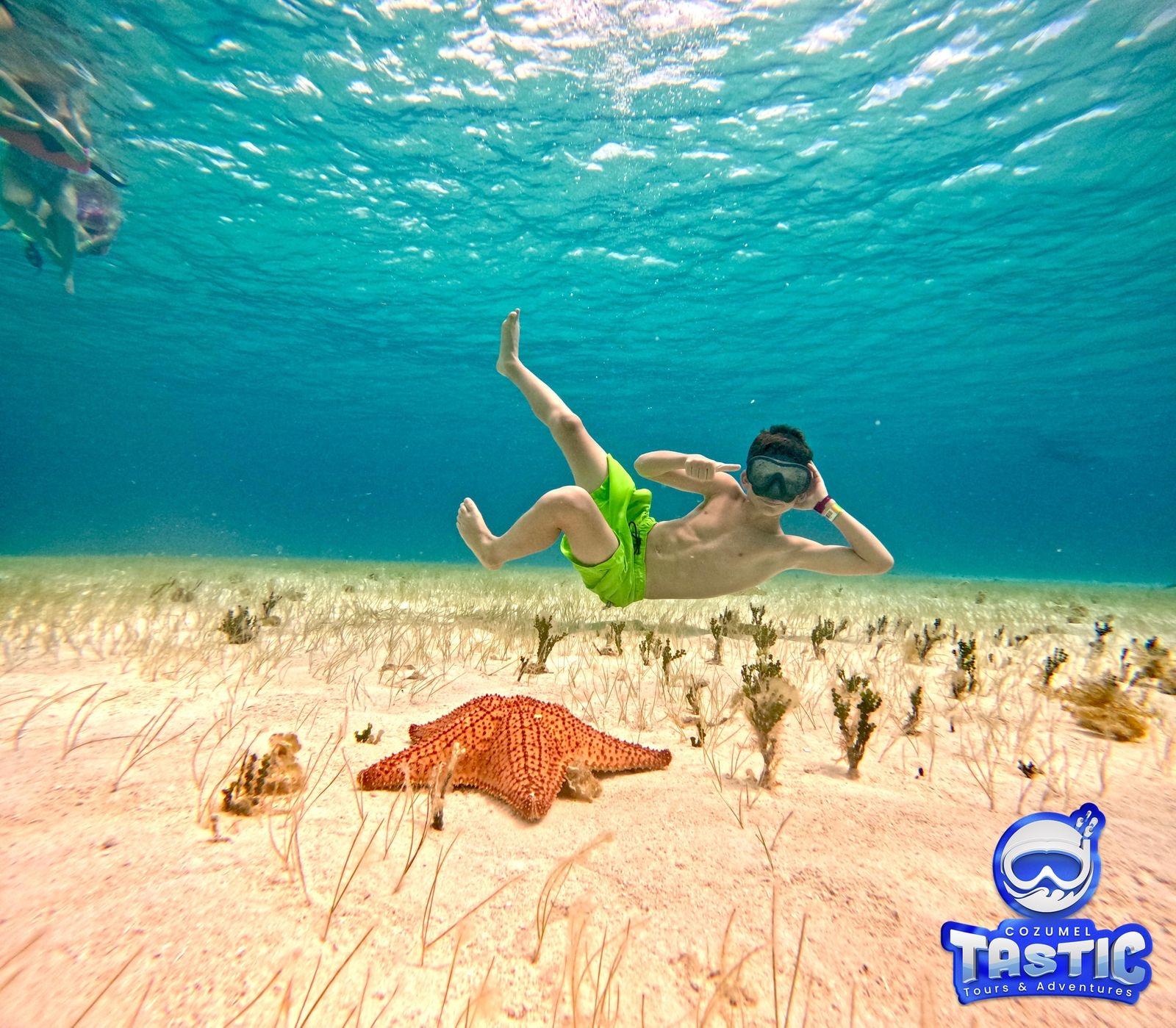 Cozumel Reef & Marine Life Snorkel Adventure