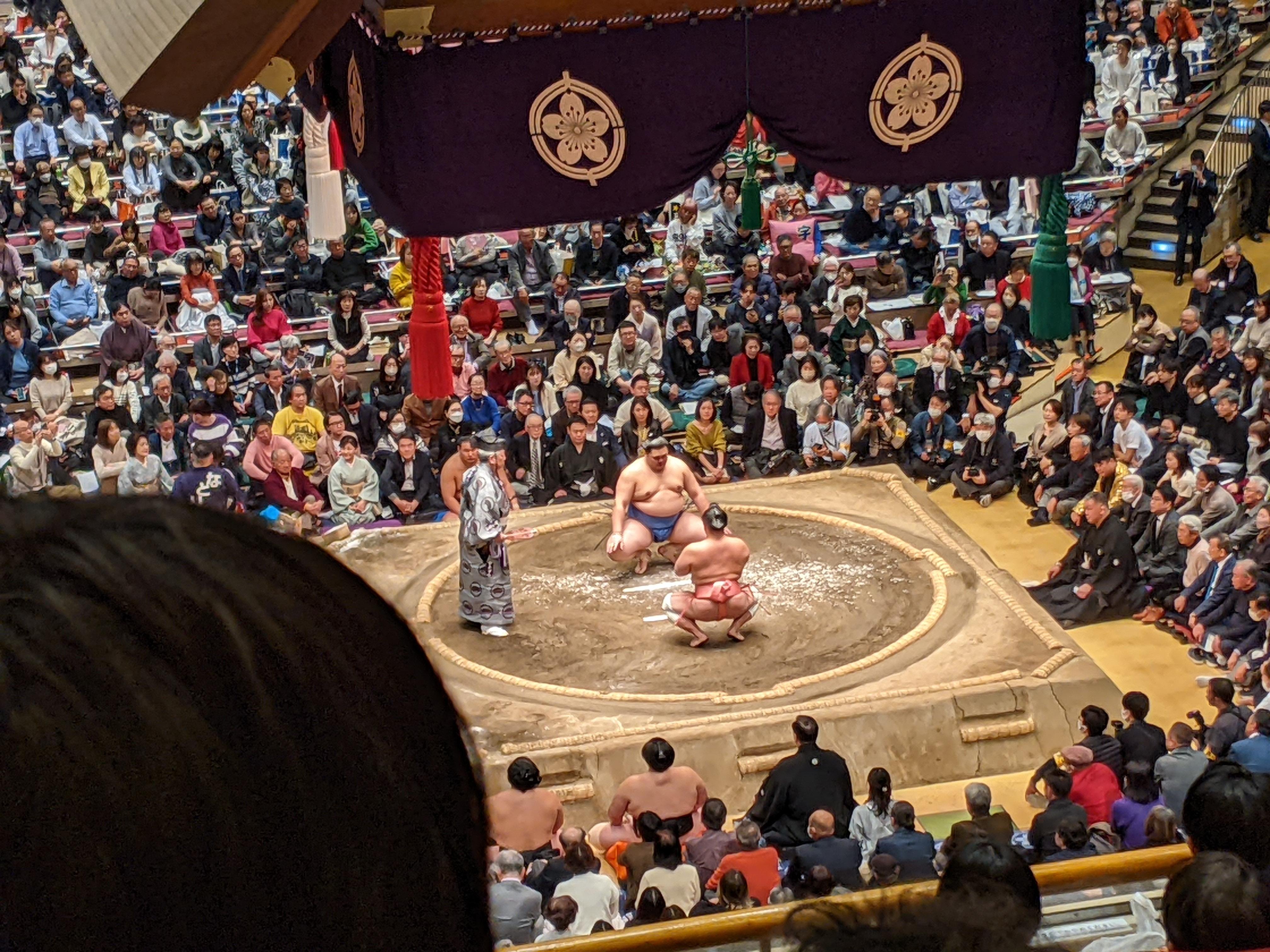 Fukuoka: Watch Sumo Tournament And Visit Sumo Spots!