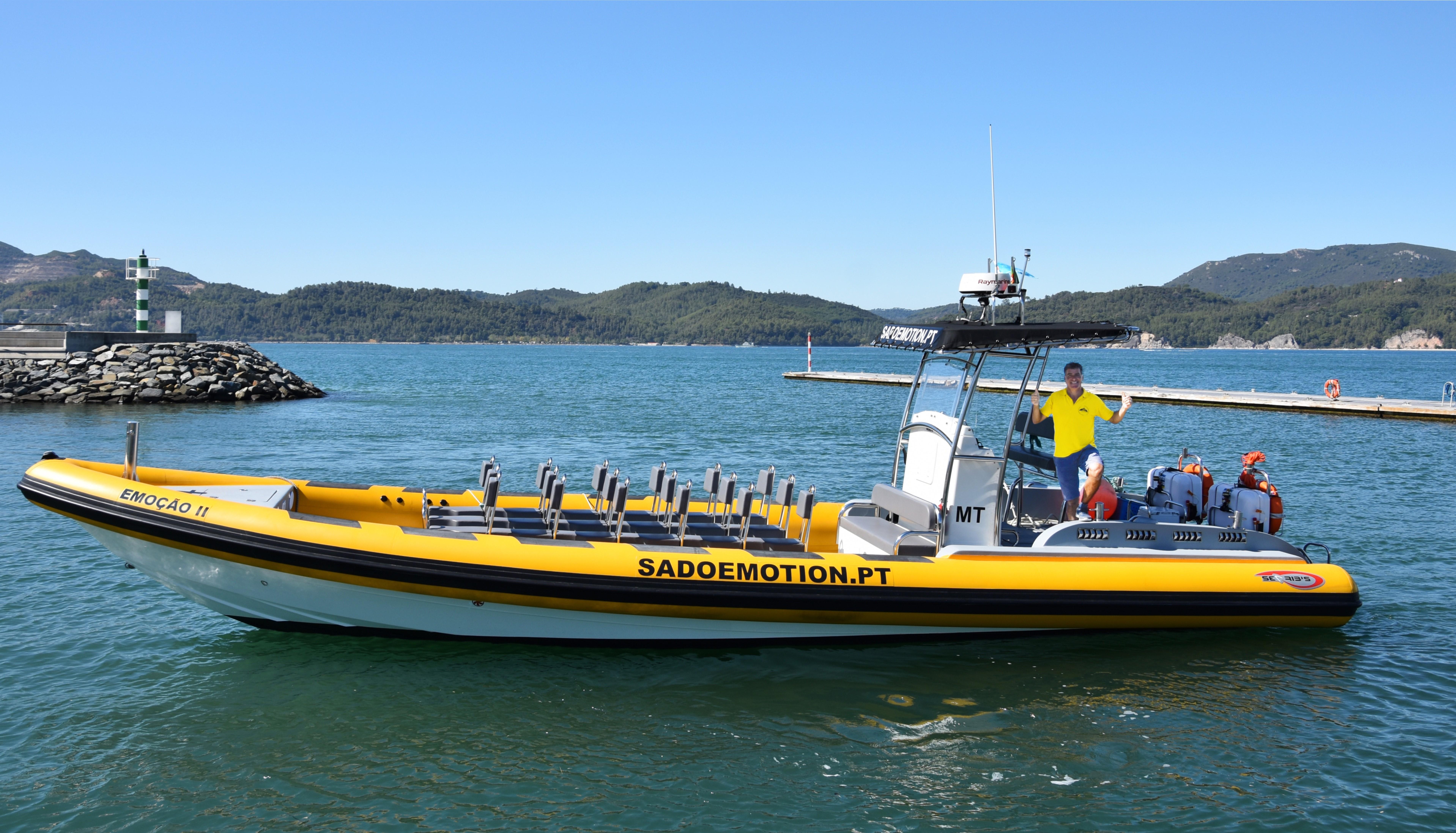 Sado Estuary Dolphin Encounter & Arrábida Coast Tour