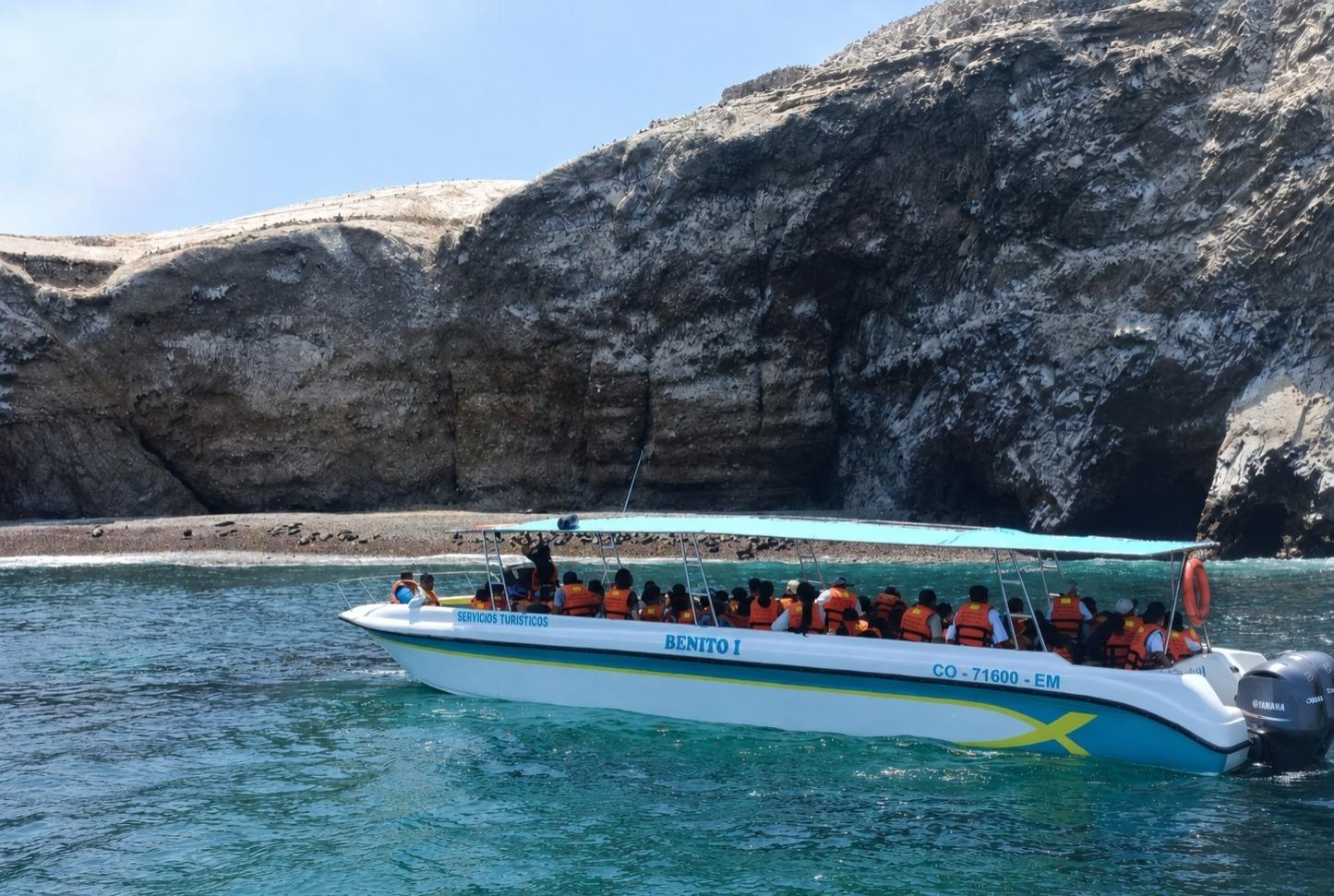 Ballestas Islands Marine Wildlife Cruise from Paracas