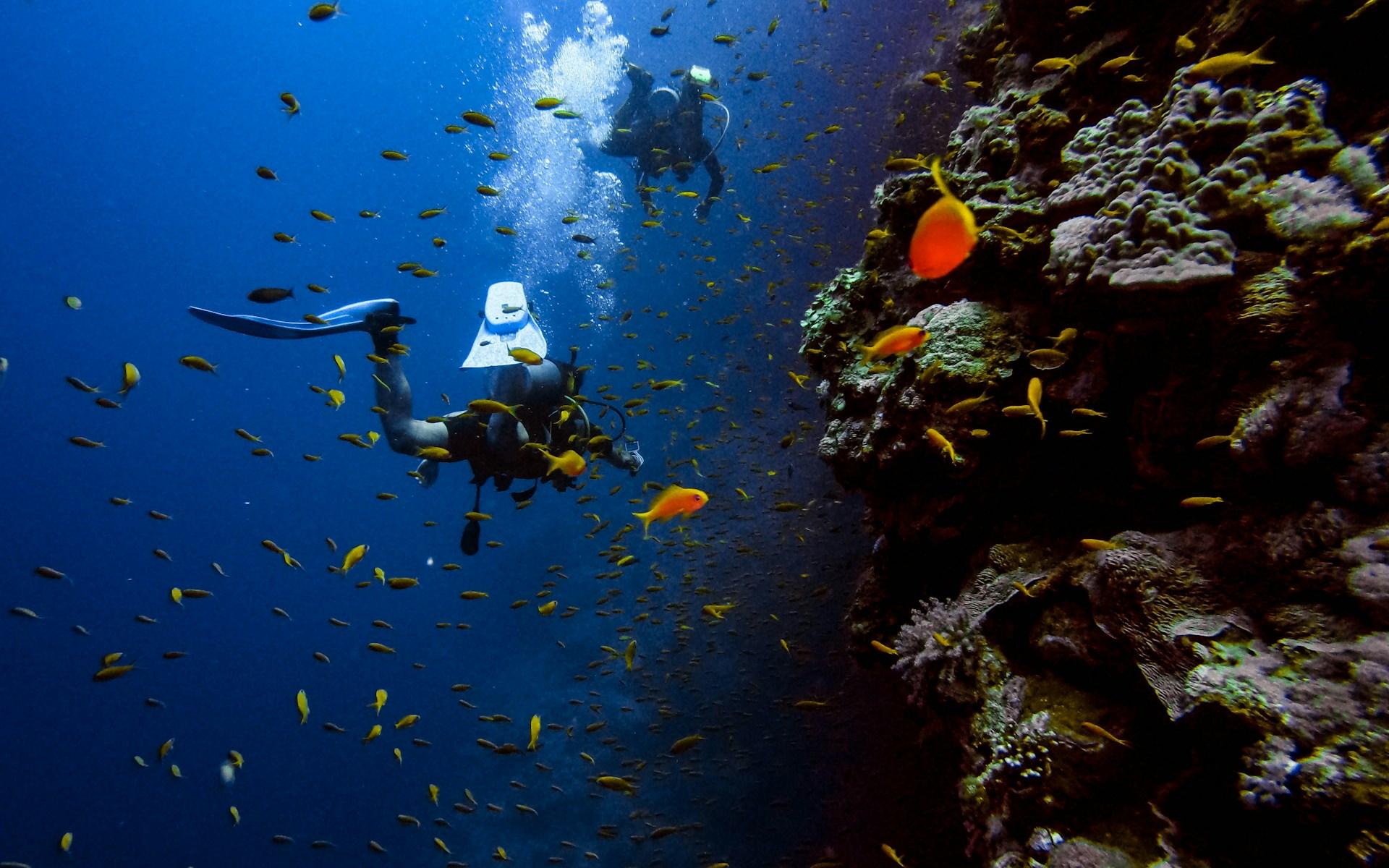Budva Scuba Diving: Adriatic Boat Adventure & Tunnel Exploration