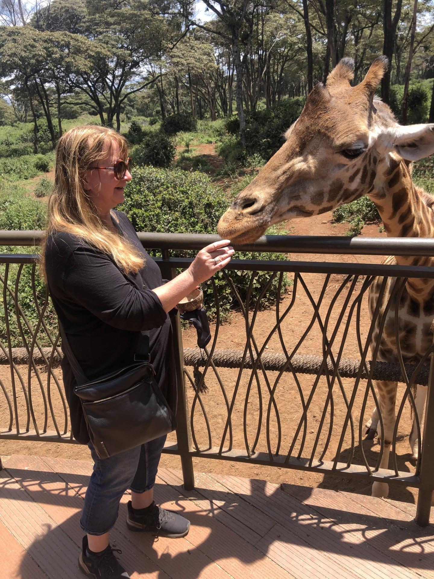 Nairobi Elephant & Giraffe Sanctuary Half-Day Excursion