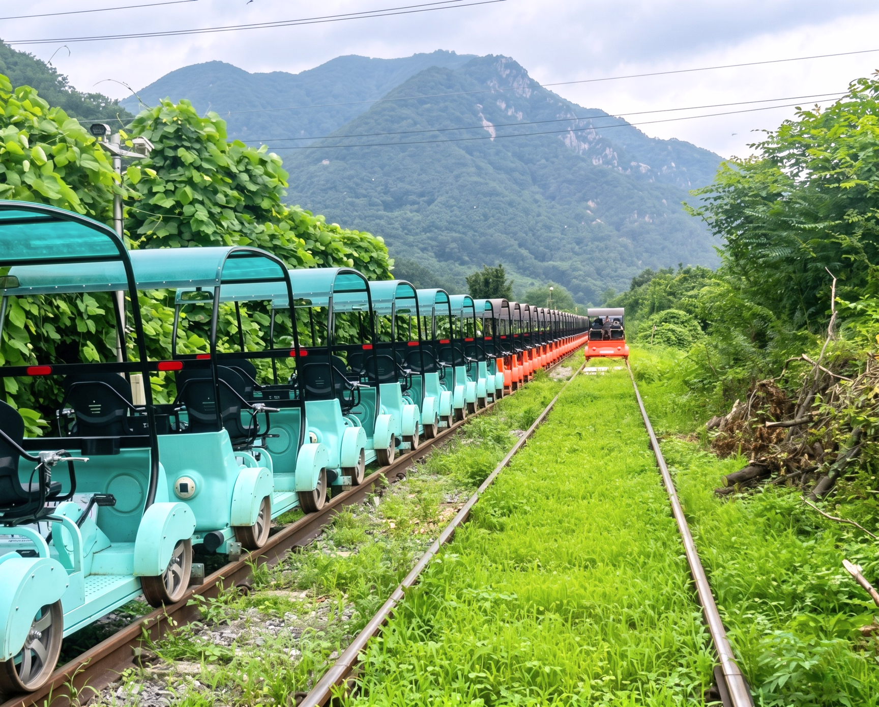 Alpaca World and Gangchon Rail Bike Day Trip from Seoul