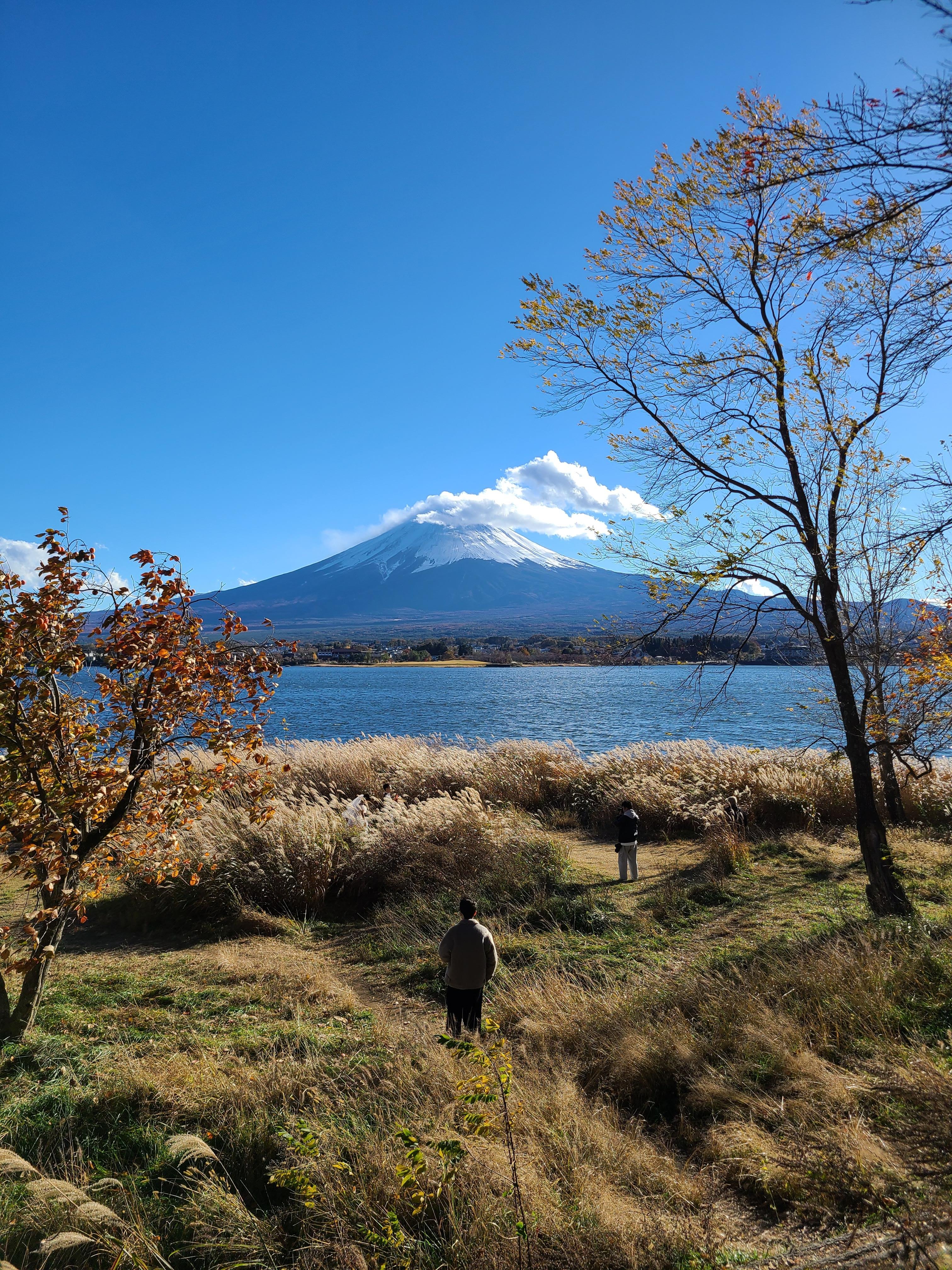 Private Mt. Fuji & Kawaguchiko Personalized Exploration