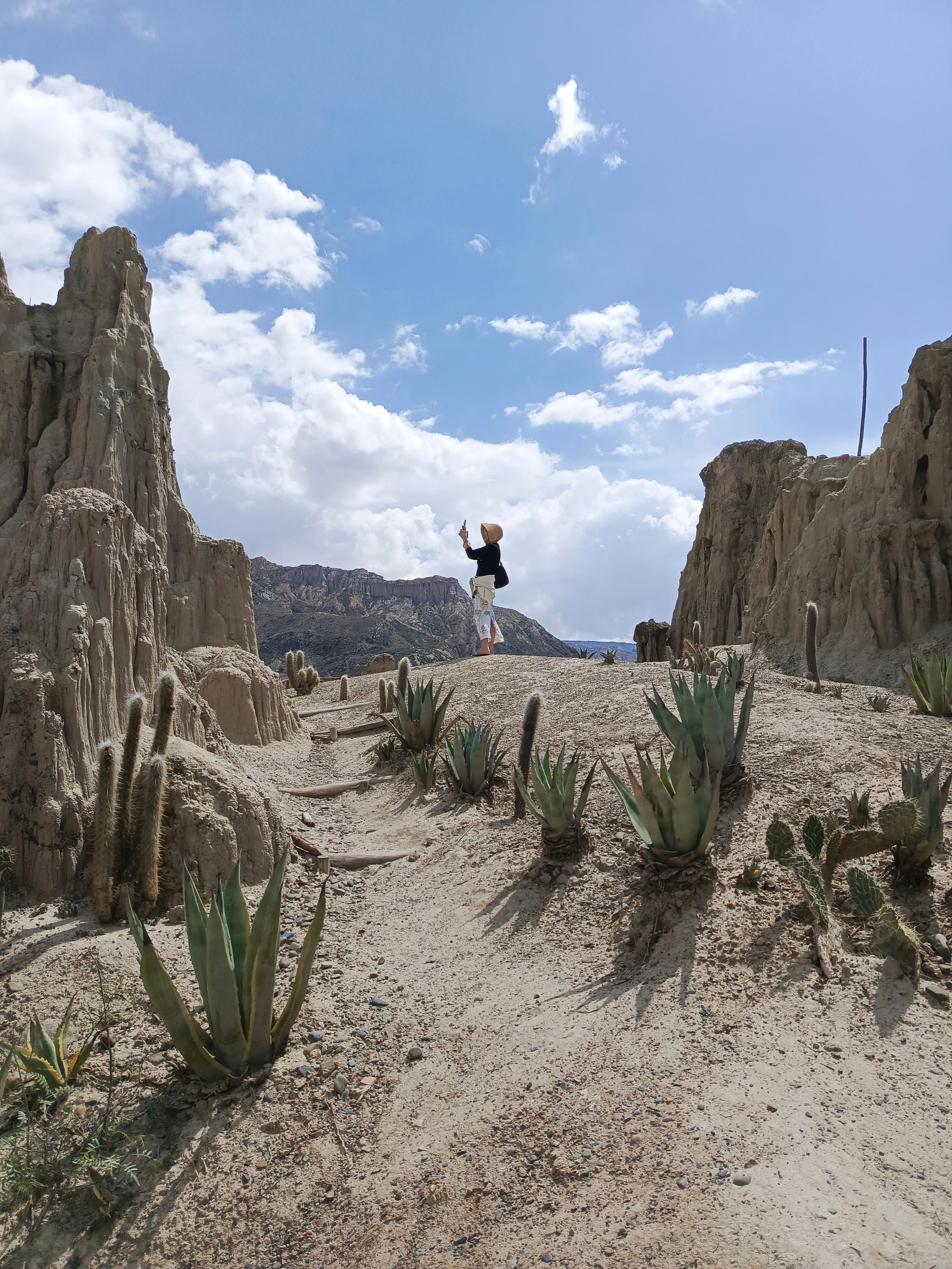 Aventure d'une demi-journée : Valle de las Animas, Vallée de la Lune et Killi Killi