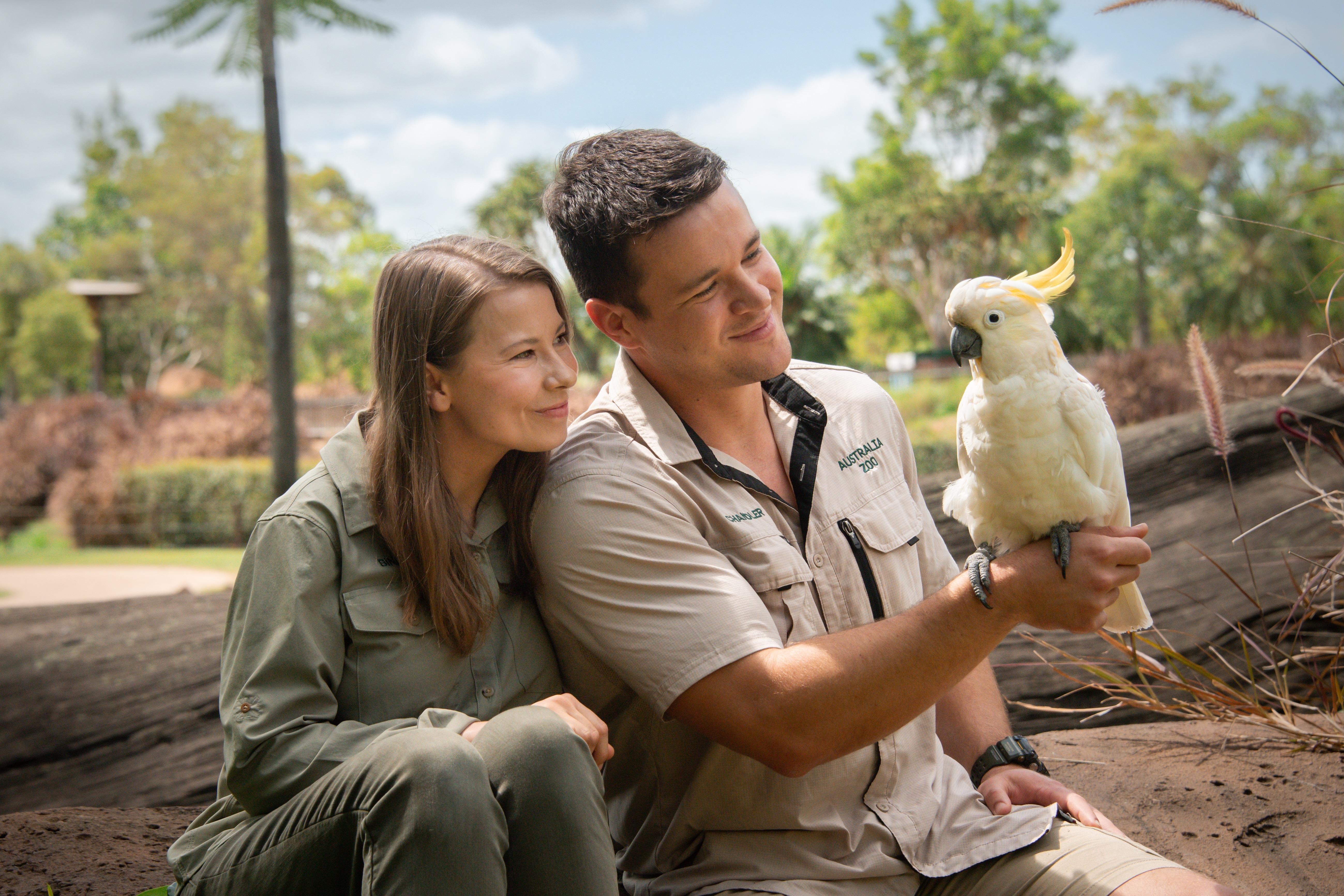 Australia Zoo Entry Ticket with Sunshine Coast Transfer