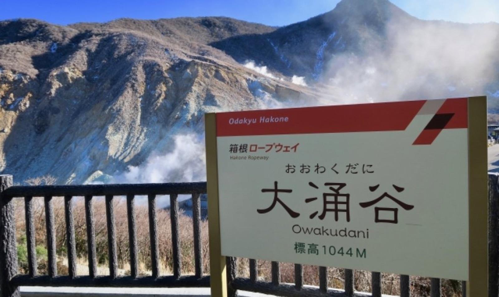 Mt. Fuji, Gotemba & Hakone Day Tour from Tokyo