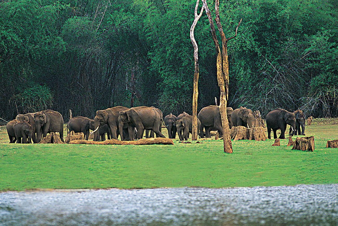 6-Day Kerala Backwaters and Houseboat Private Expedition