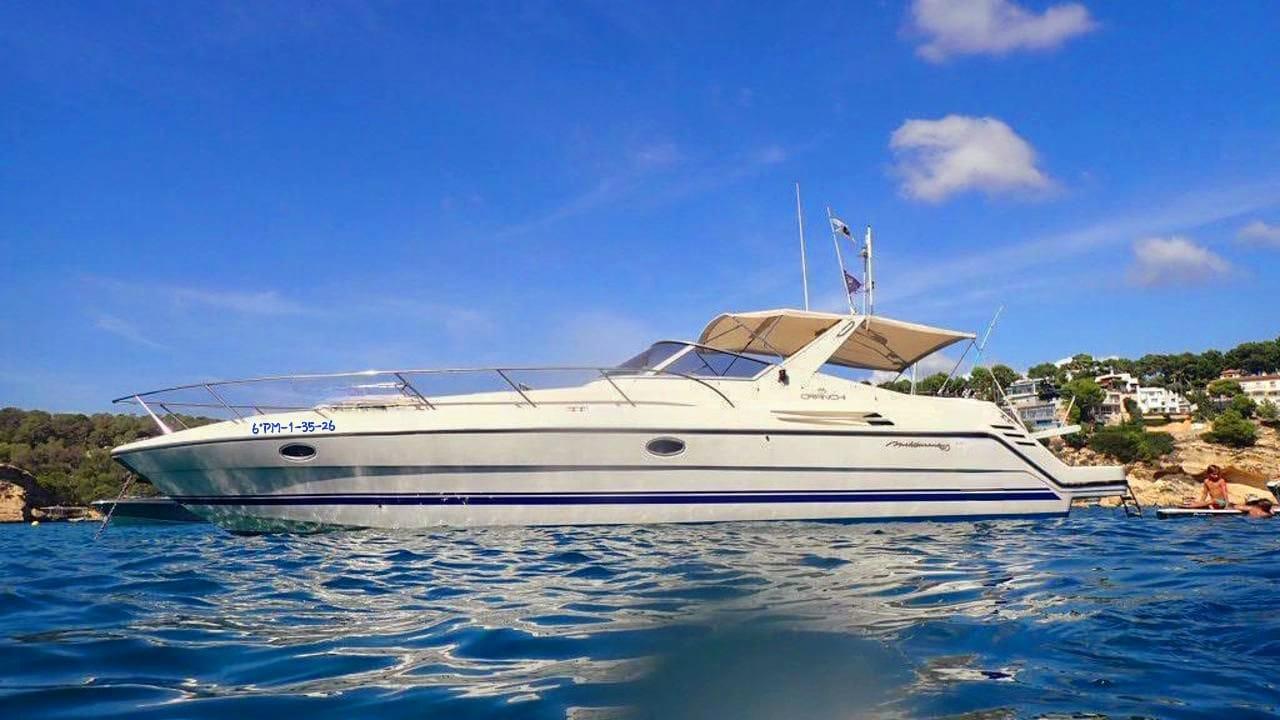 Fuengirola Dolphin Watching Yacht Cruise