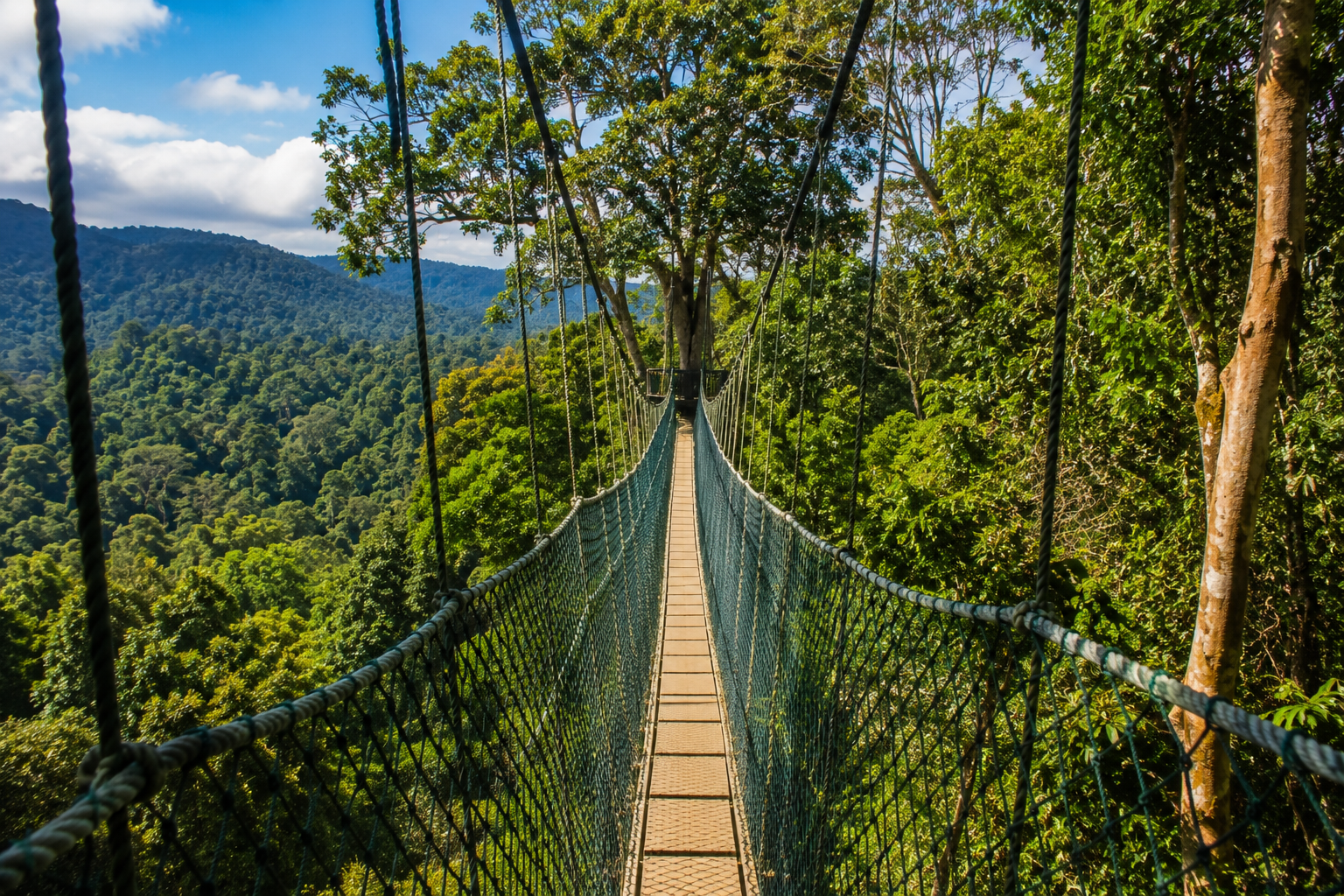 Taman Negara Rainforest Adventure from Kuala Lumpur