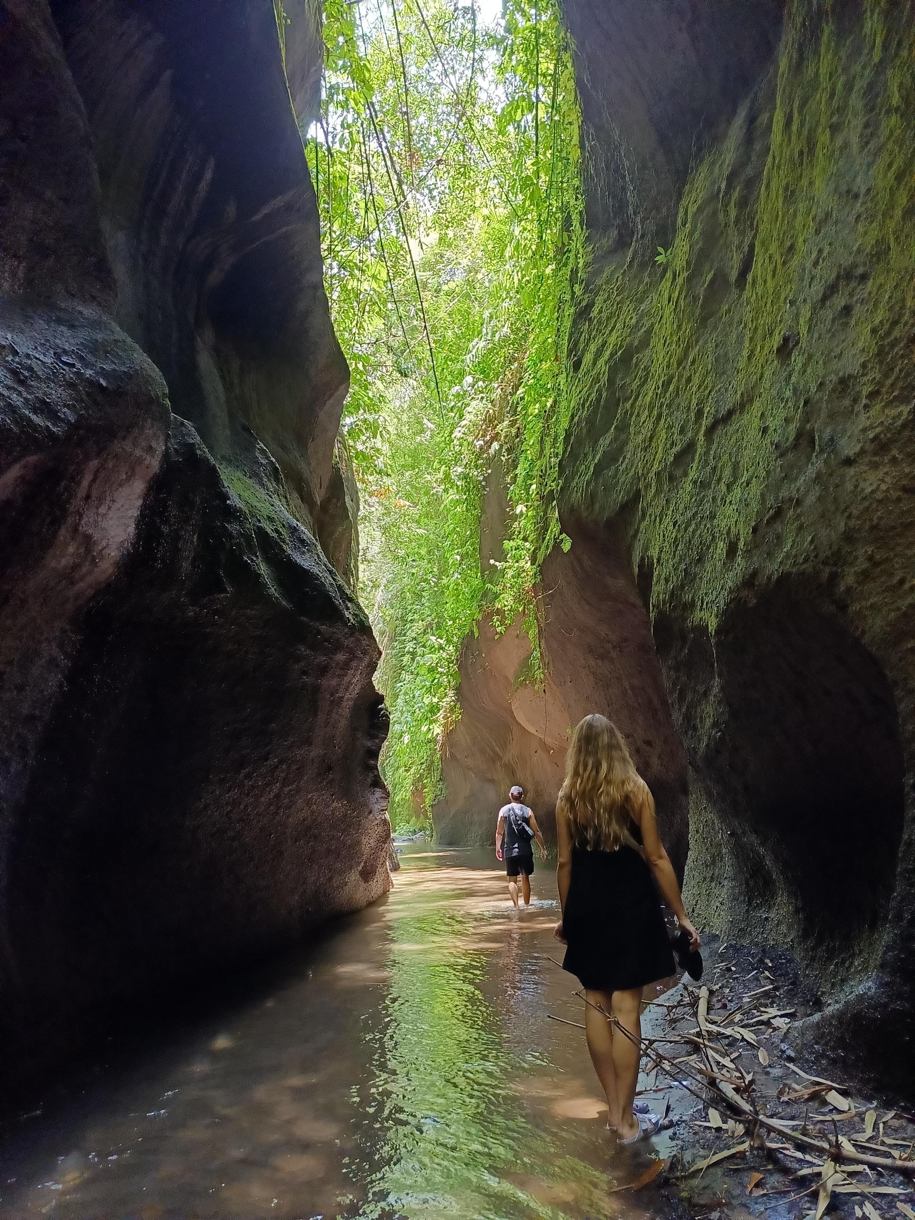Ubud Cultural Discovery: Sacred Springs, Rice Terraces & Waterfalls