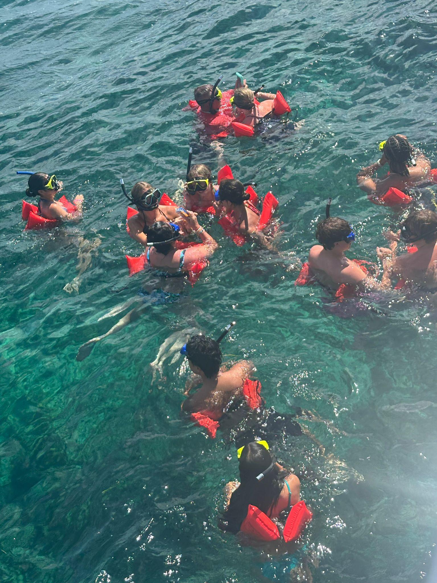 Nassau 3-Island Speedboat Adventure: Pigs, Turtles & Snorkeling
