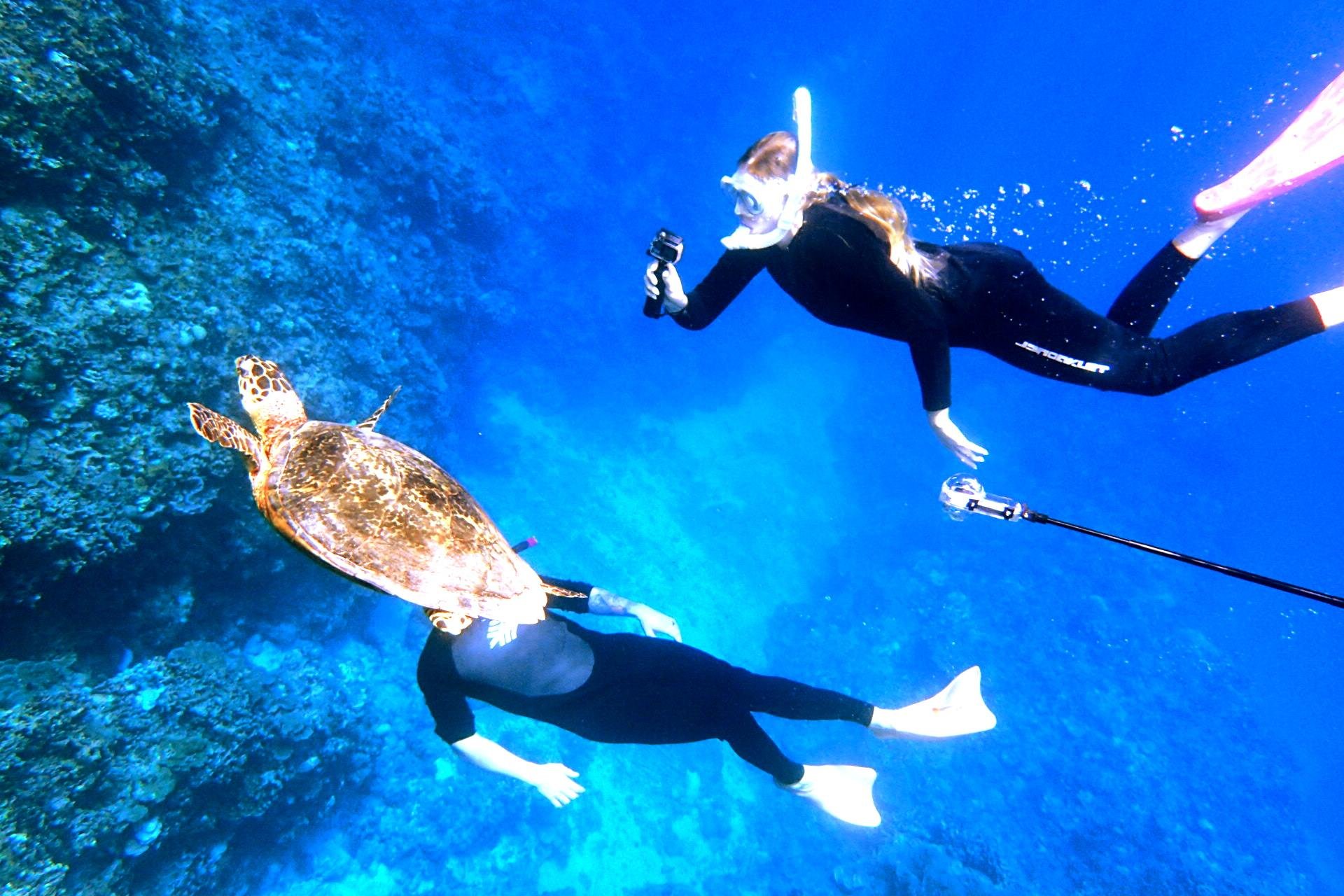 Okinawa snorkeling - Kerama Islands day trip from Naha — image 5
