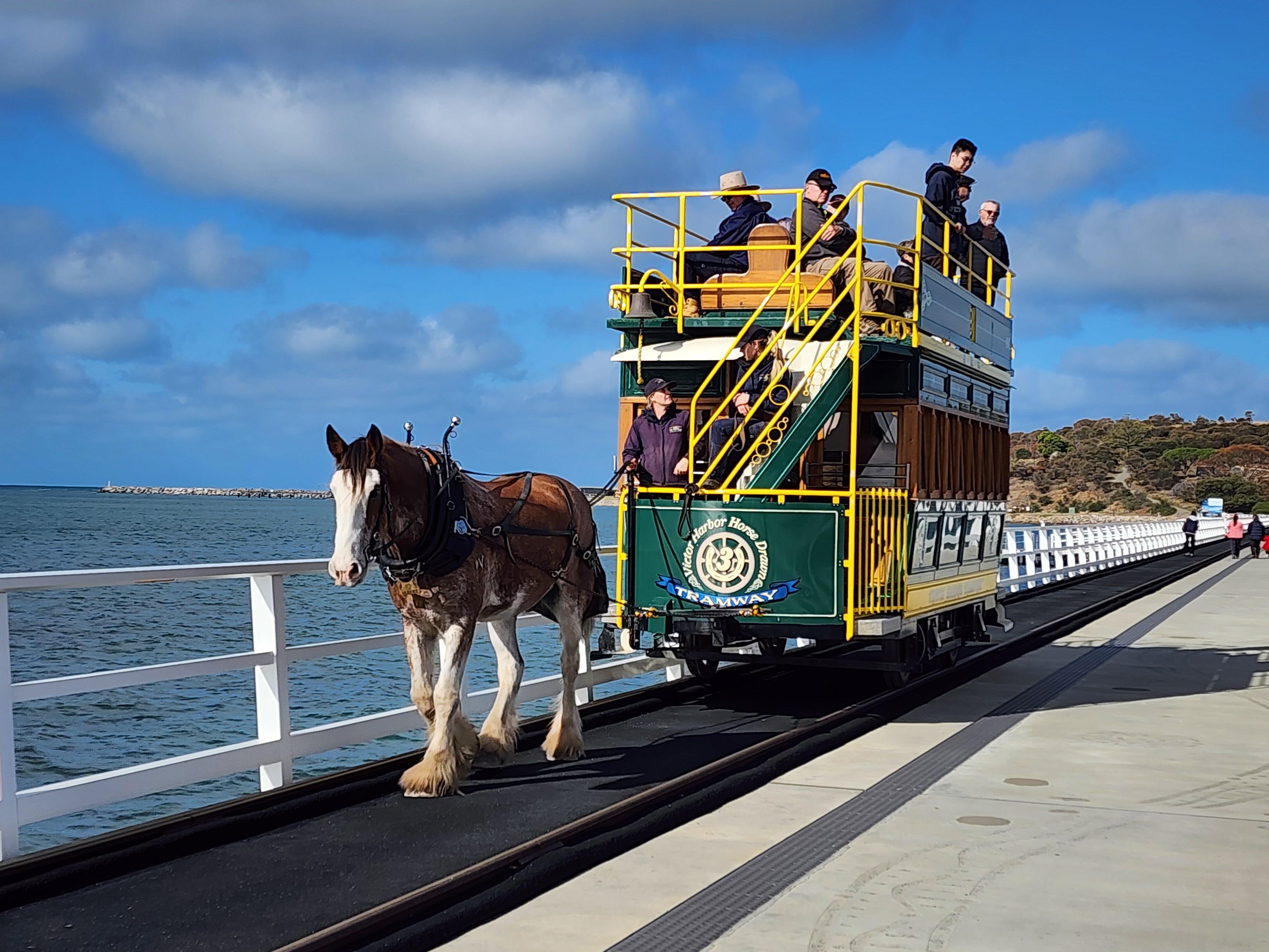 Victor Harbor & d'Arenberg Cube Premium Day Trip
