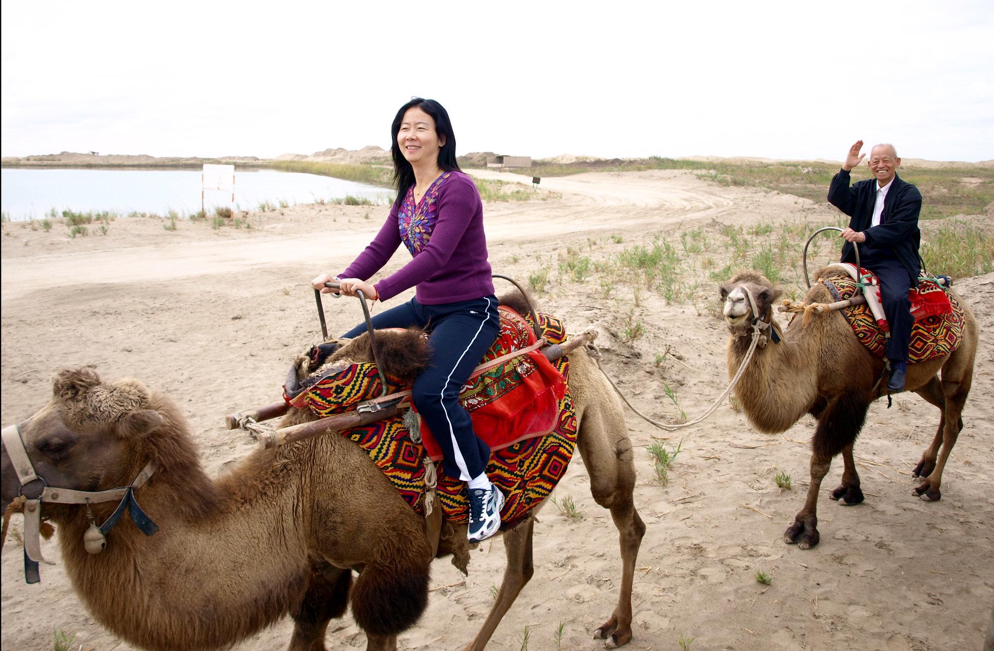 Agadir Camel Trekking Adventure with Refreshments