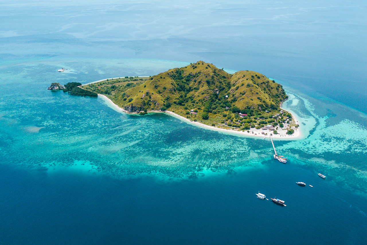 Komodo National Park: Dragons, Beaches & Manta Rays Day Tour