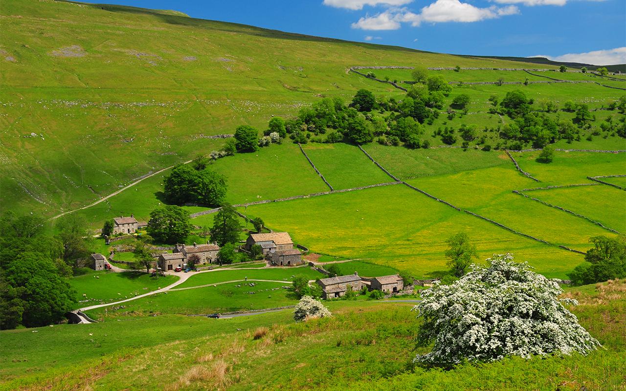 Yorkshire Dales TV Tour from York