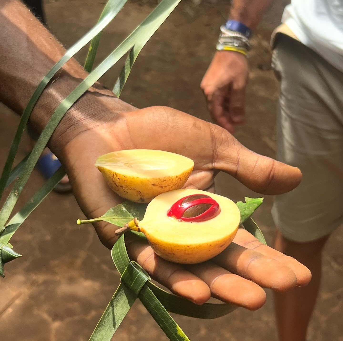 Zanzibar Full-Day: Stone Town, Spice Farm & Prison Island with Lunch