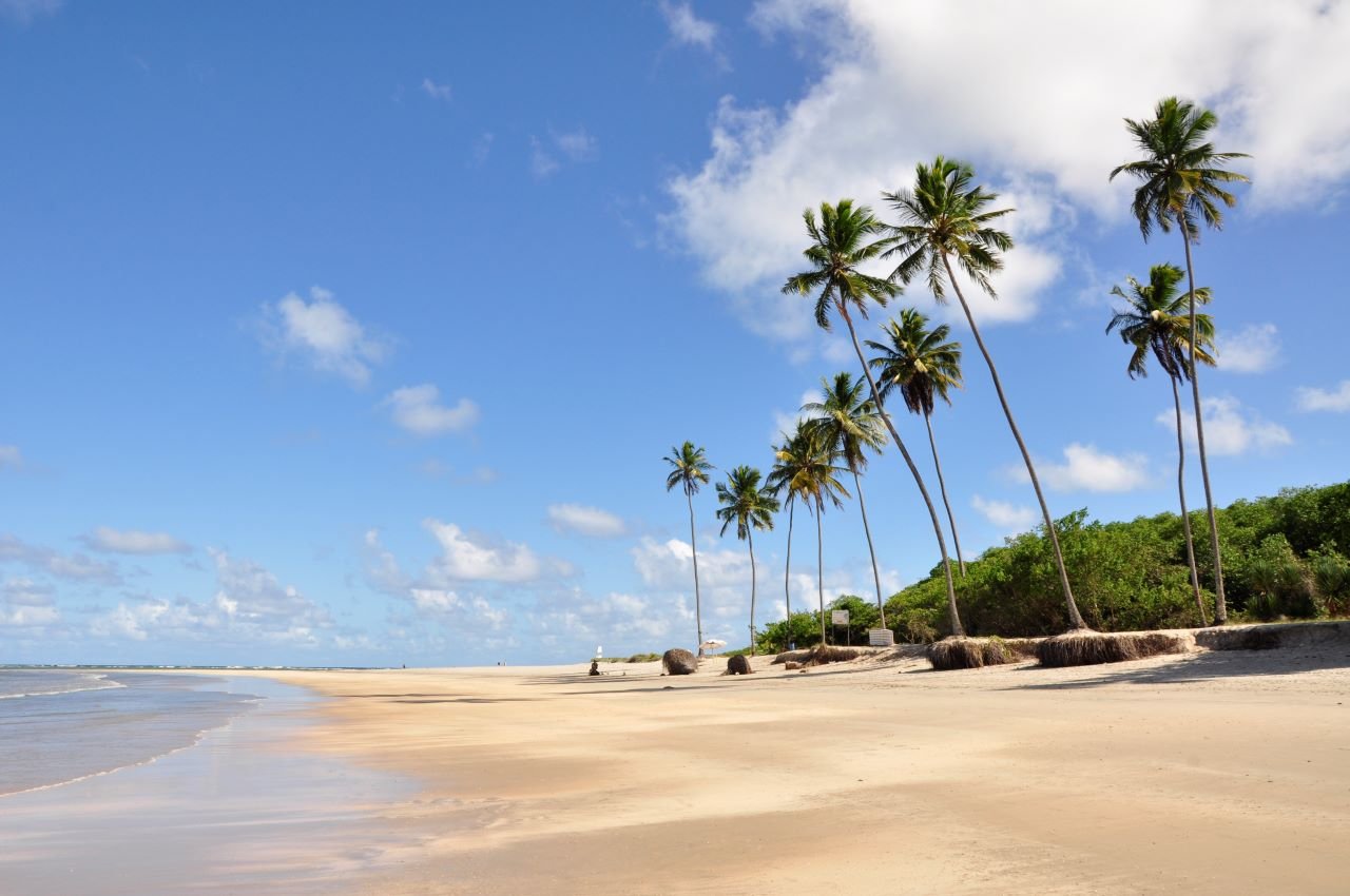 Porto de Galinhas Coastal Escape from Recife