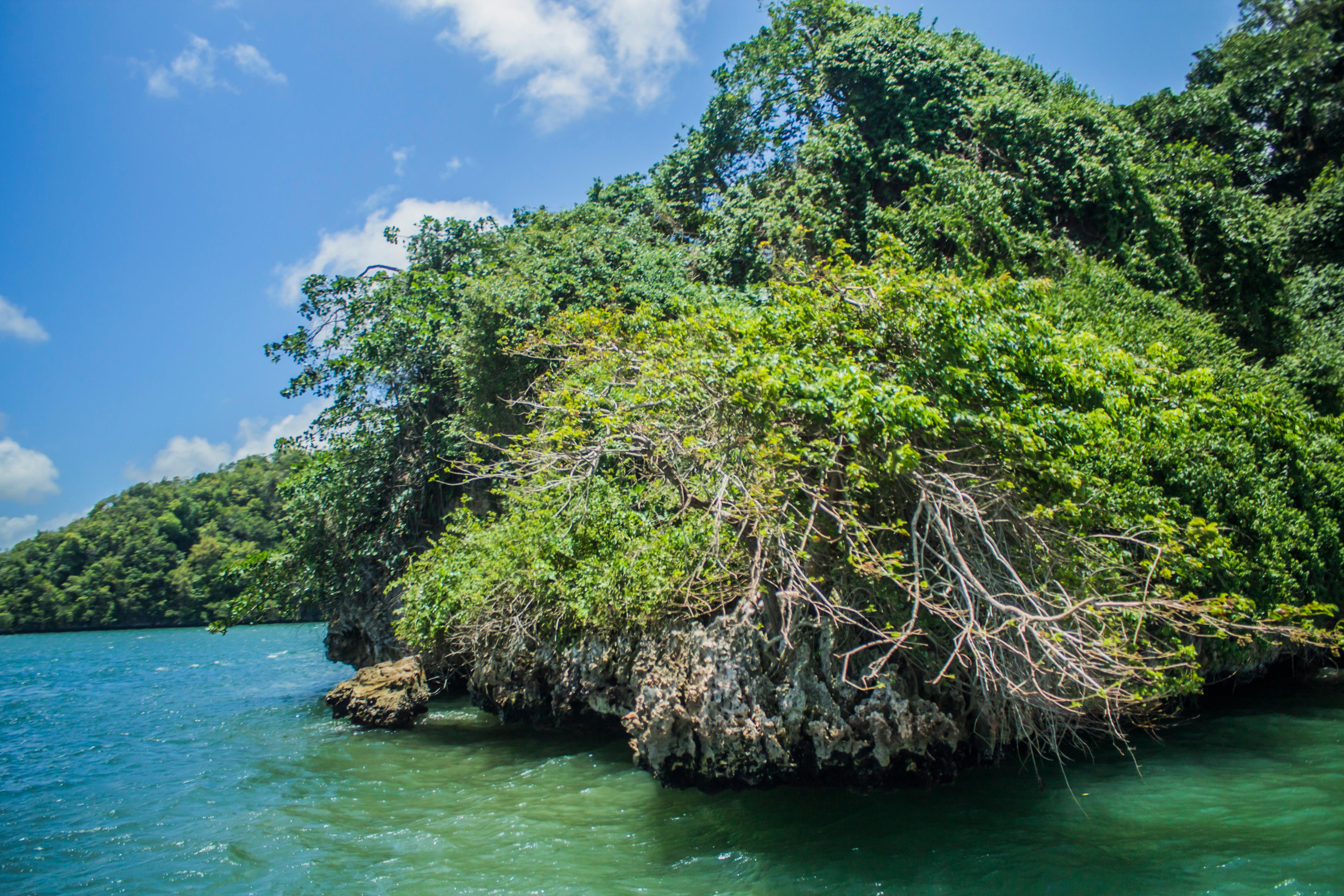 Dominican Republic 3-in-1: Los Haitises, Yanigua Falls & Montaña Redonda