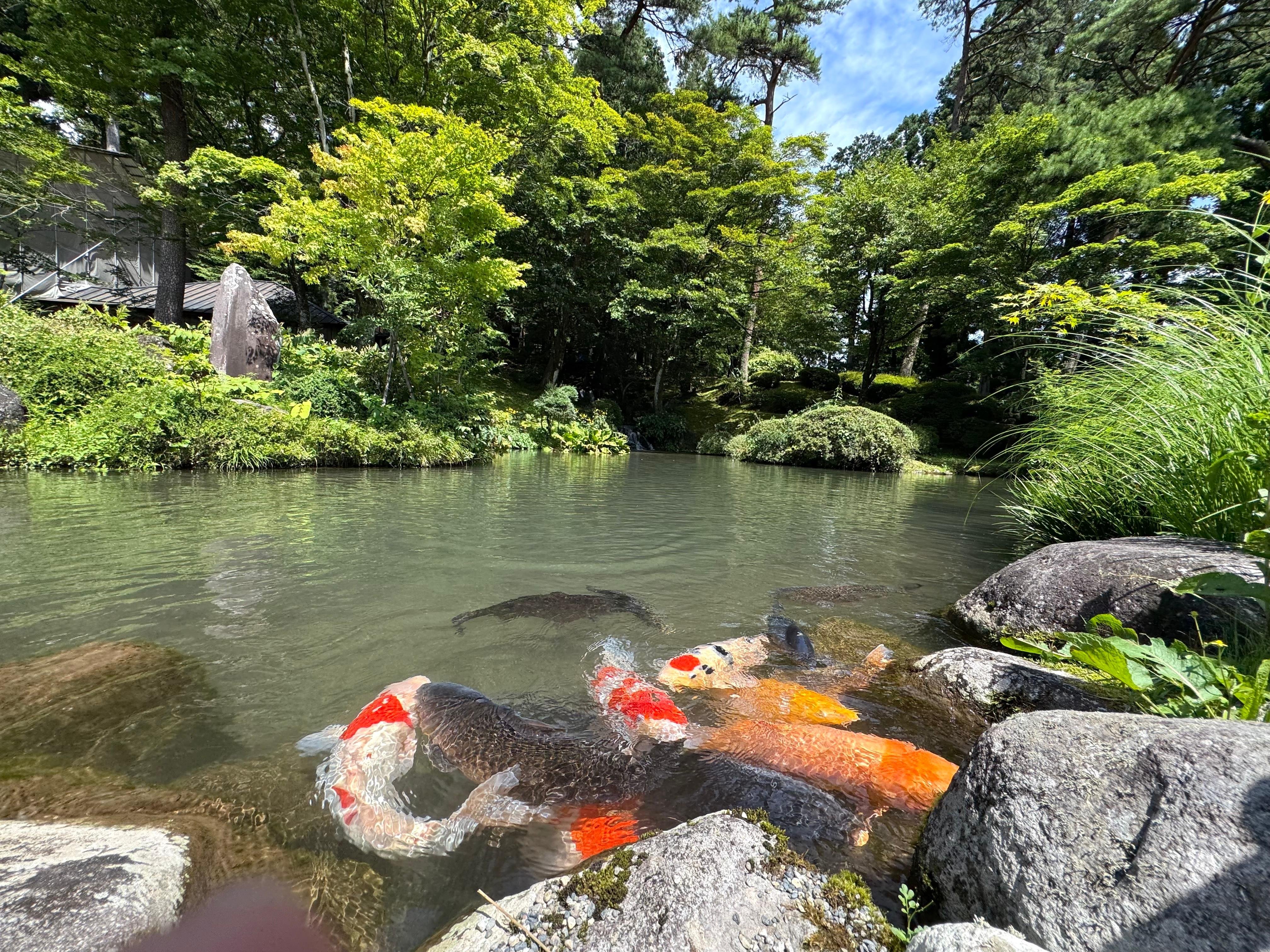 Nikko Private Full-Day Tour from Tokyo