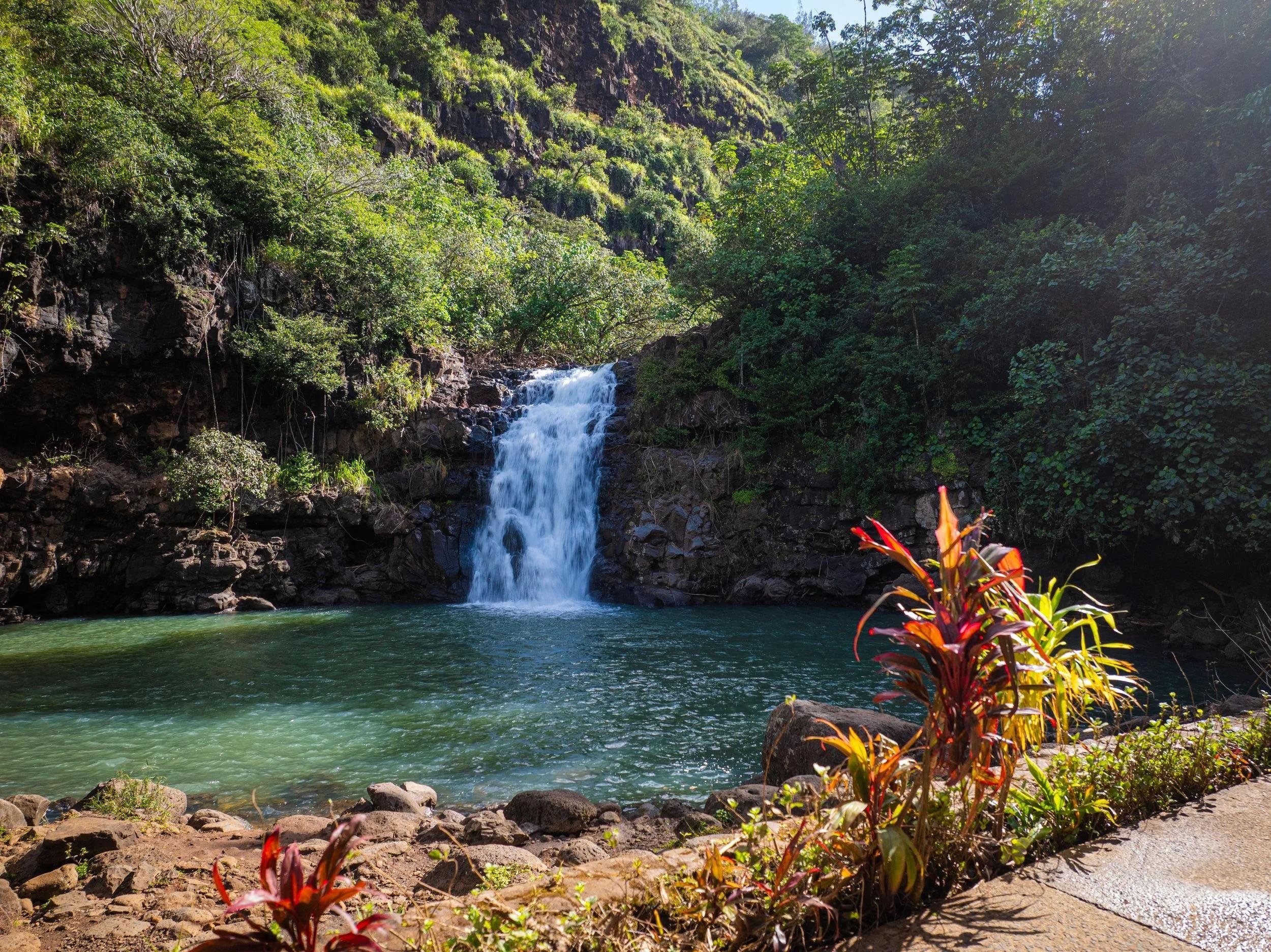 Waimea Valley: Self-Guided Admission & Waterfall Walk