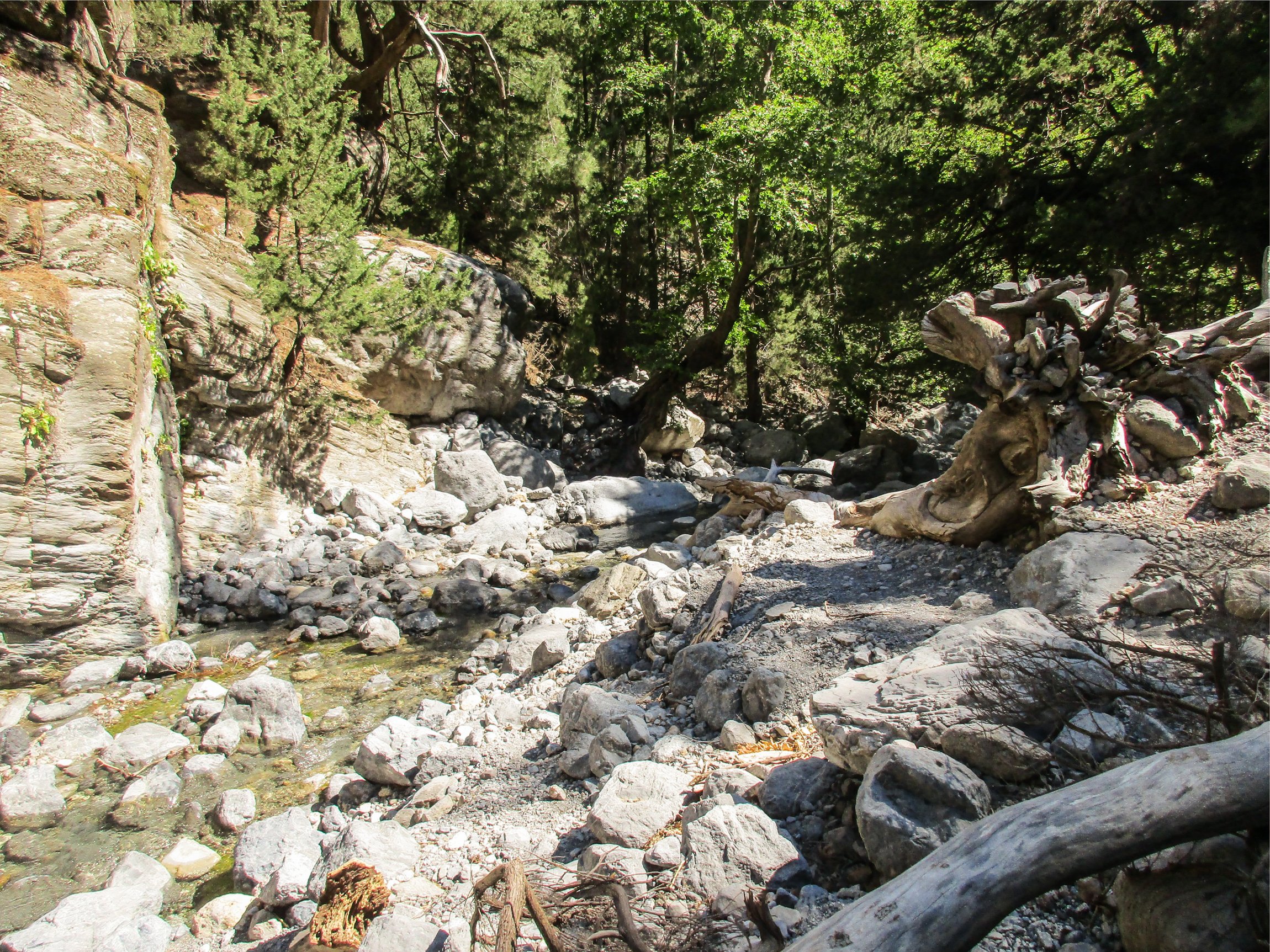Samaria Gorge hike Crete — Xyloskalo descent, Iron Gates Sideroportes, kri-kri ibex, Agia Roumeli Libyan Sea — image 27