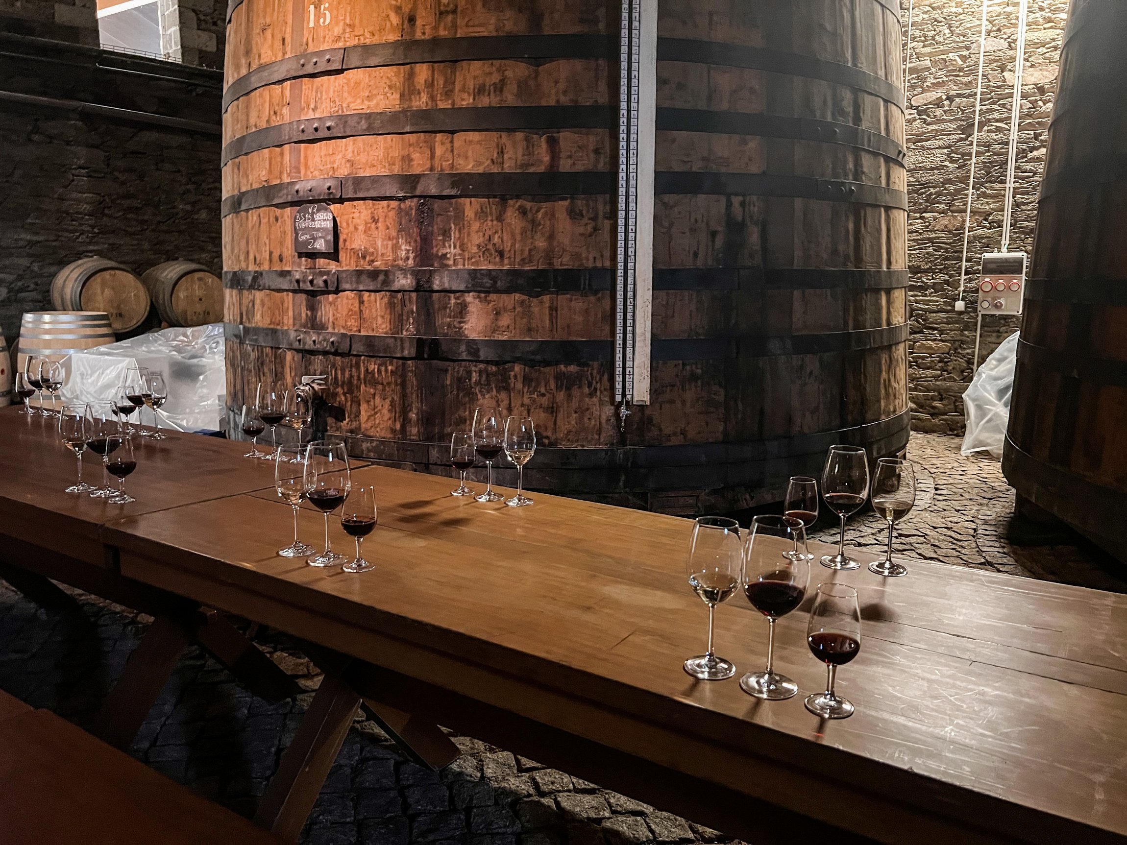 Douro Valley Day Trip: Boat Cruise, Wine Tasting & Traditional Lunch from Porto