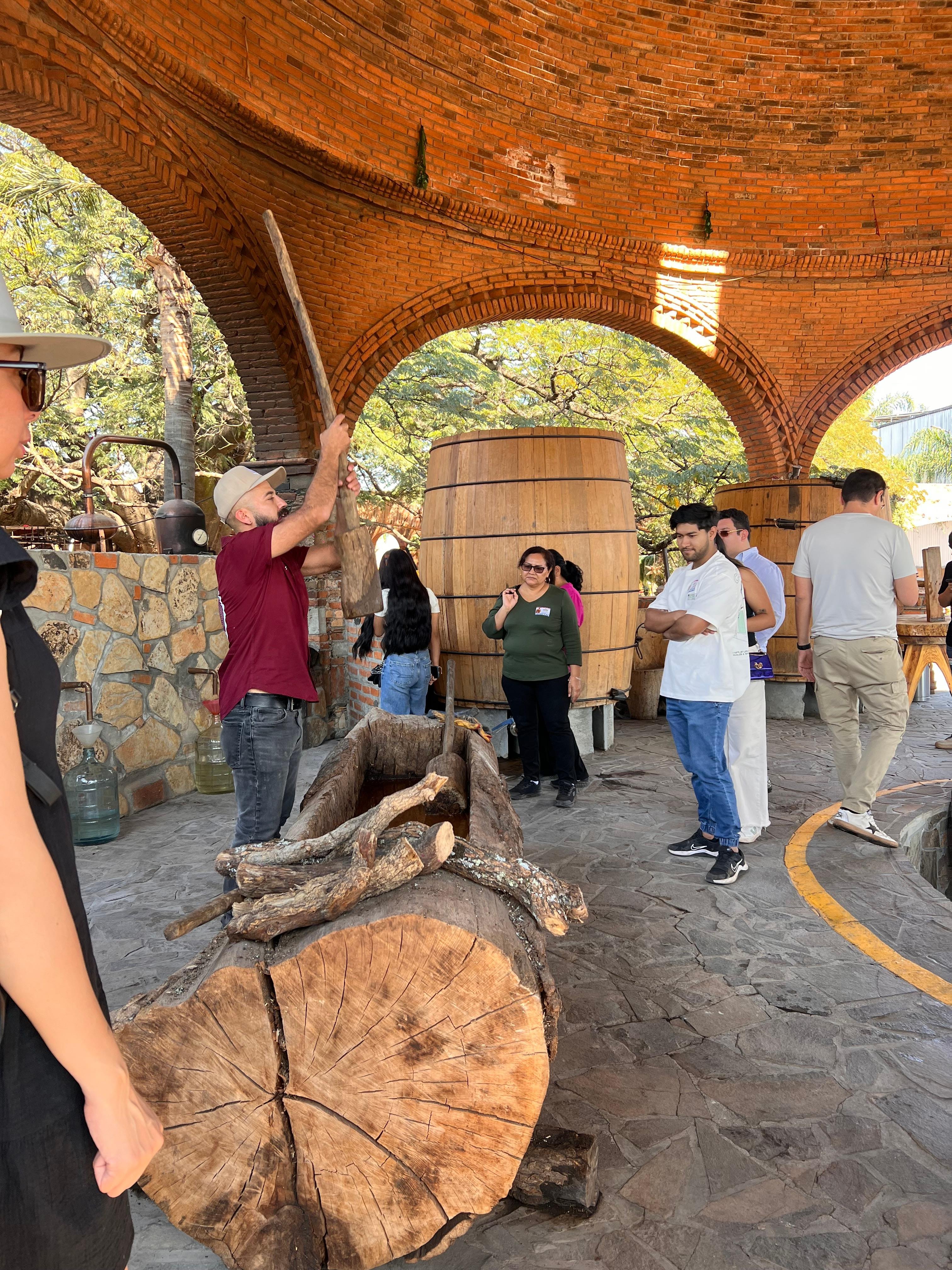 tequila tour in Guadalajara — photo 28