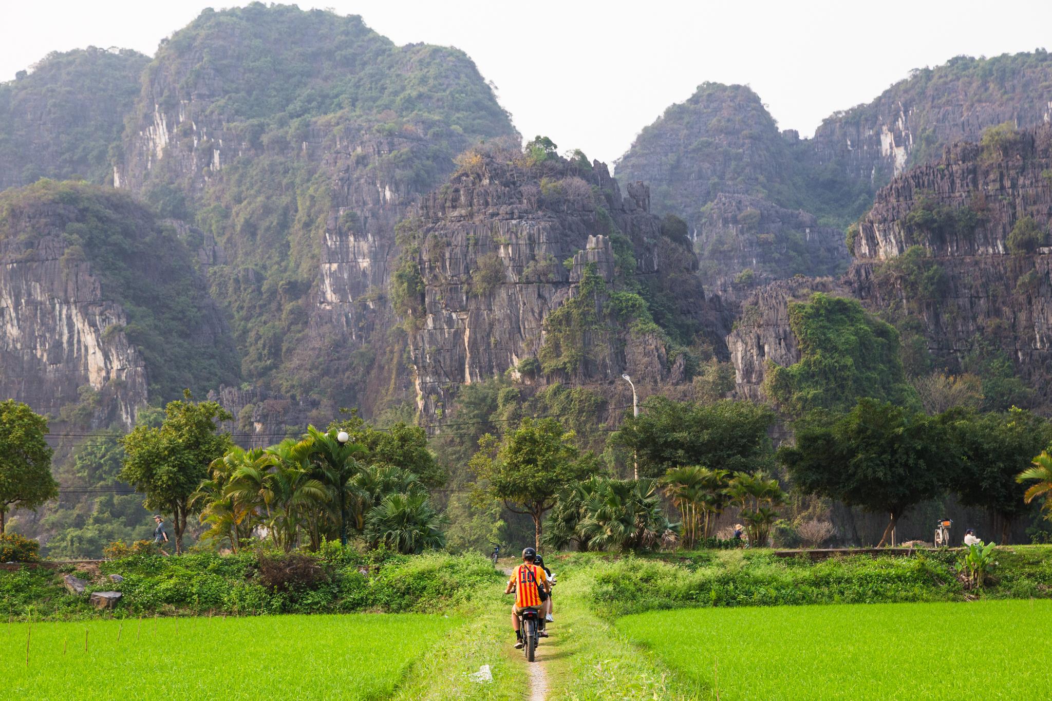 Tam Coc E-Bike Adventure with Tea Ceremony & Local Lunch