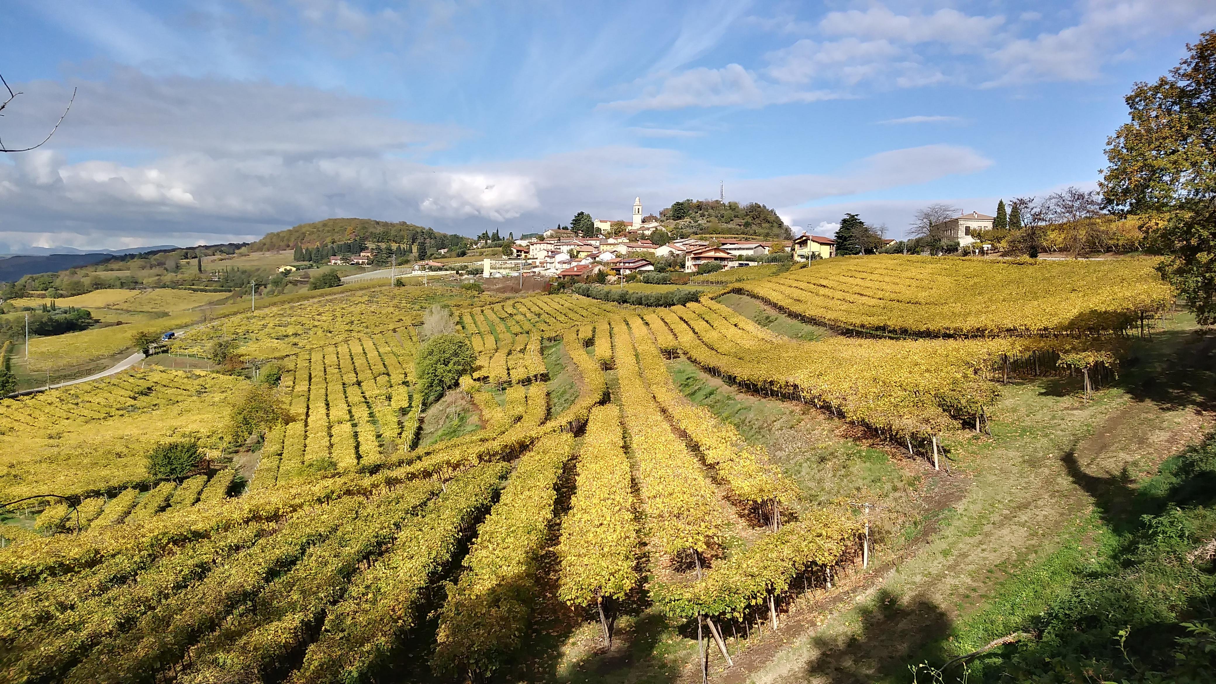 Soave Valley E-Bike & Wine Tour from Verona