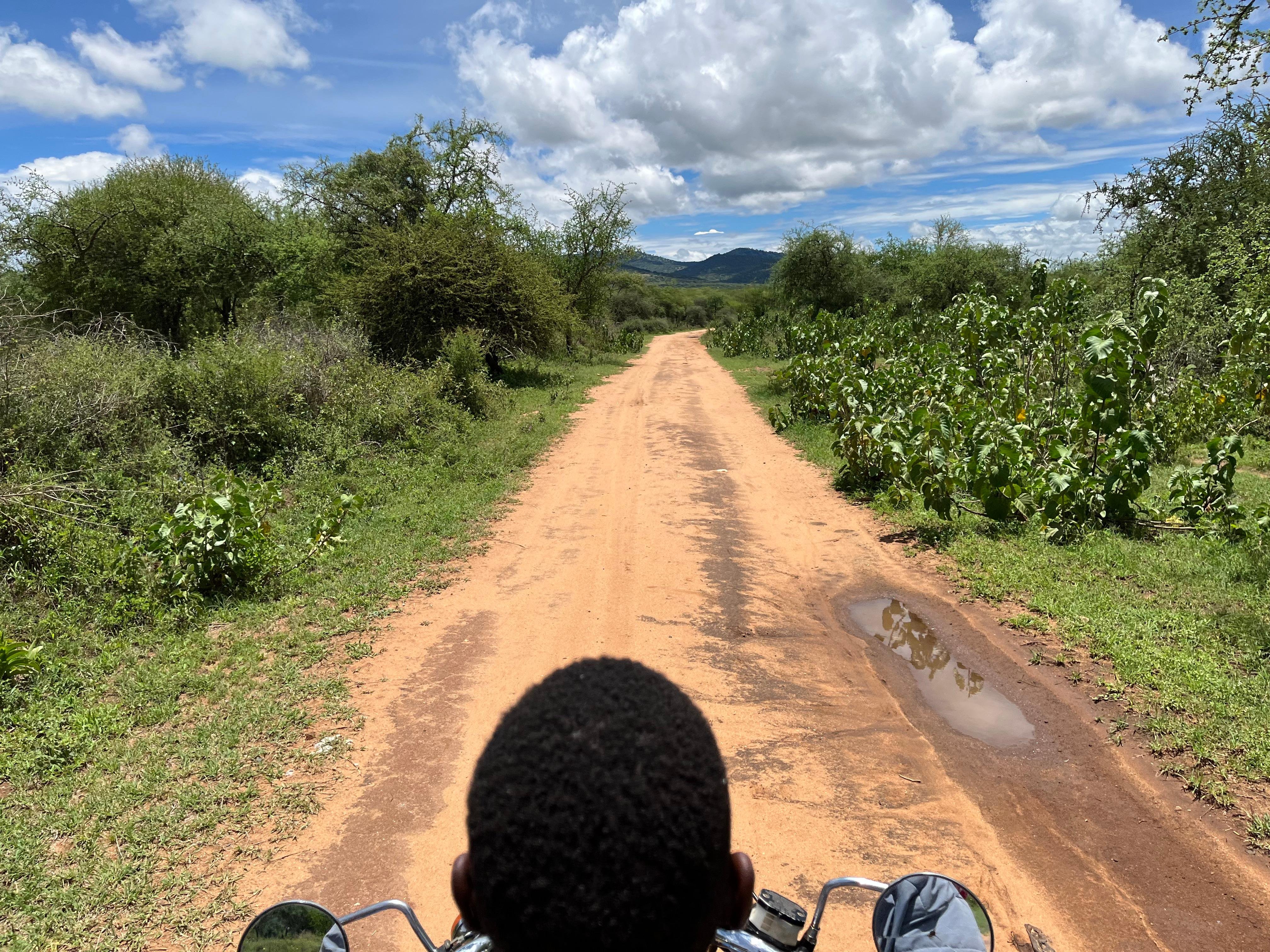Authentic Maasai Village Day Tour from Nairobi